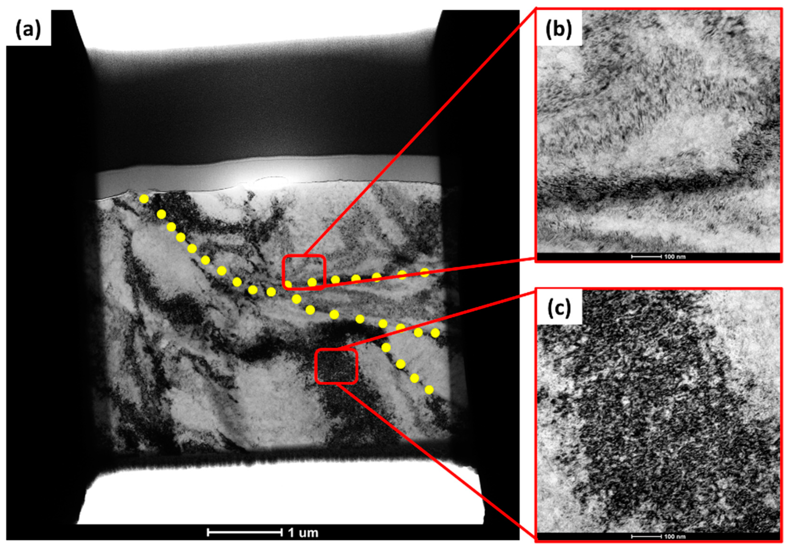 Metals 14 01261 g010