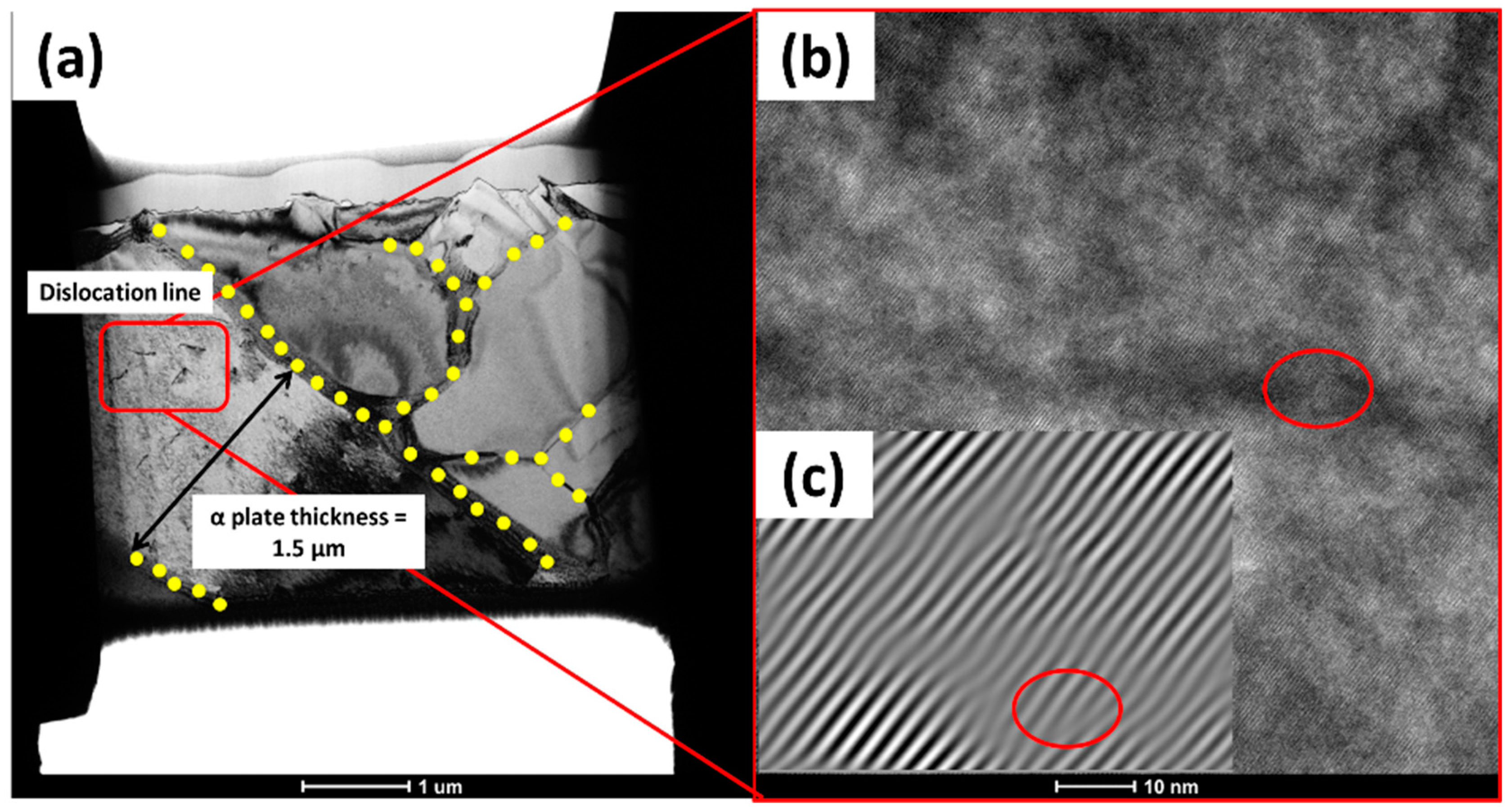 Metals 14 01261 g011