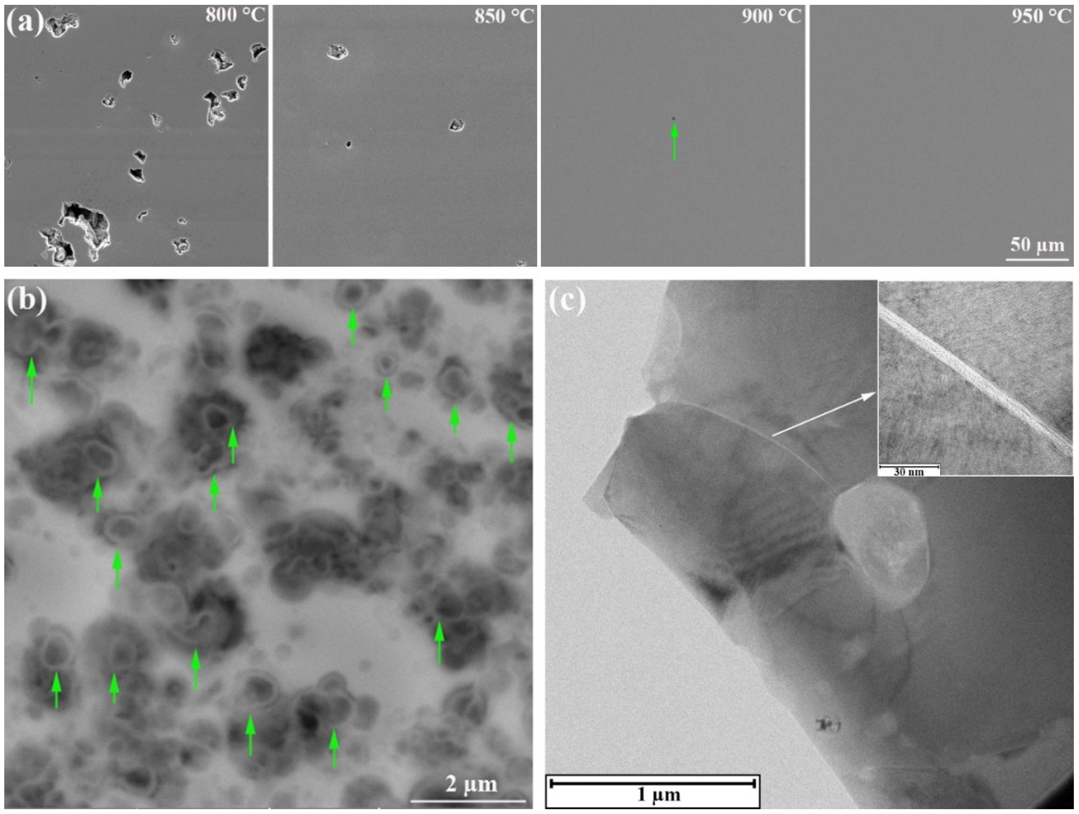 Metals 14 01269 g003