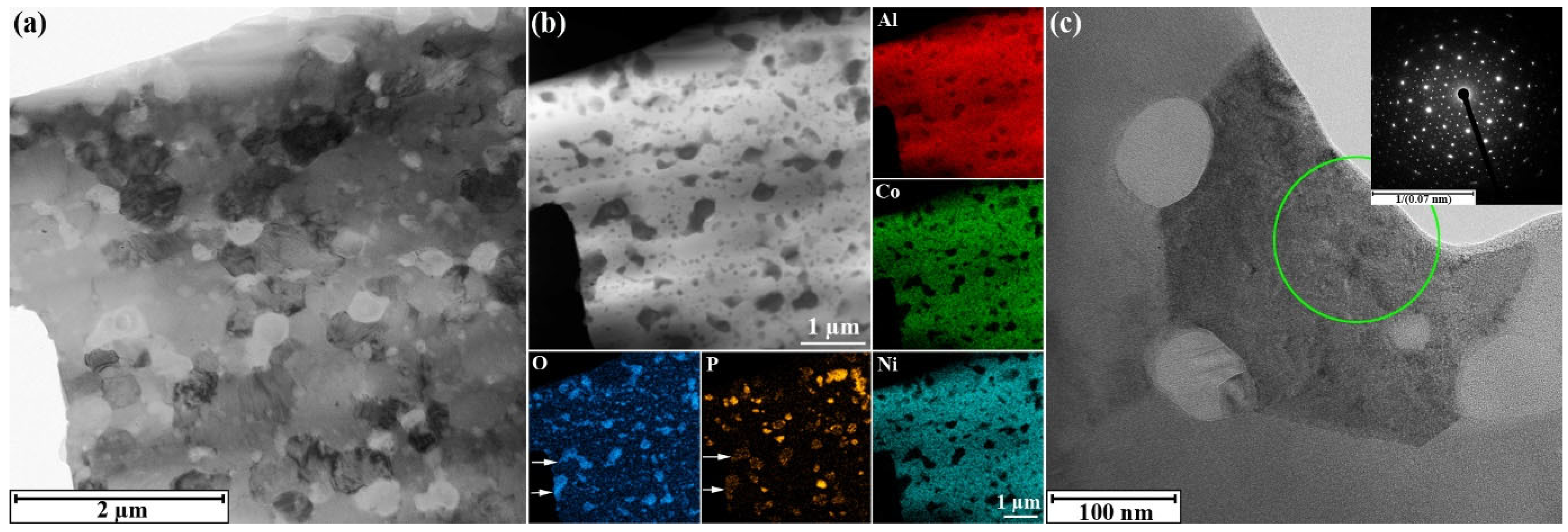 Metals 14 01269 g006