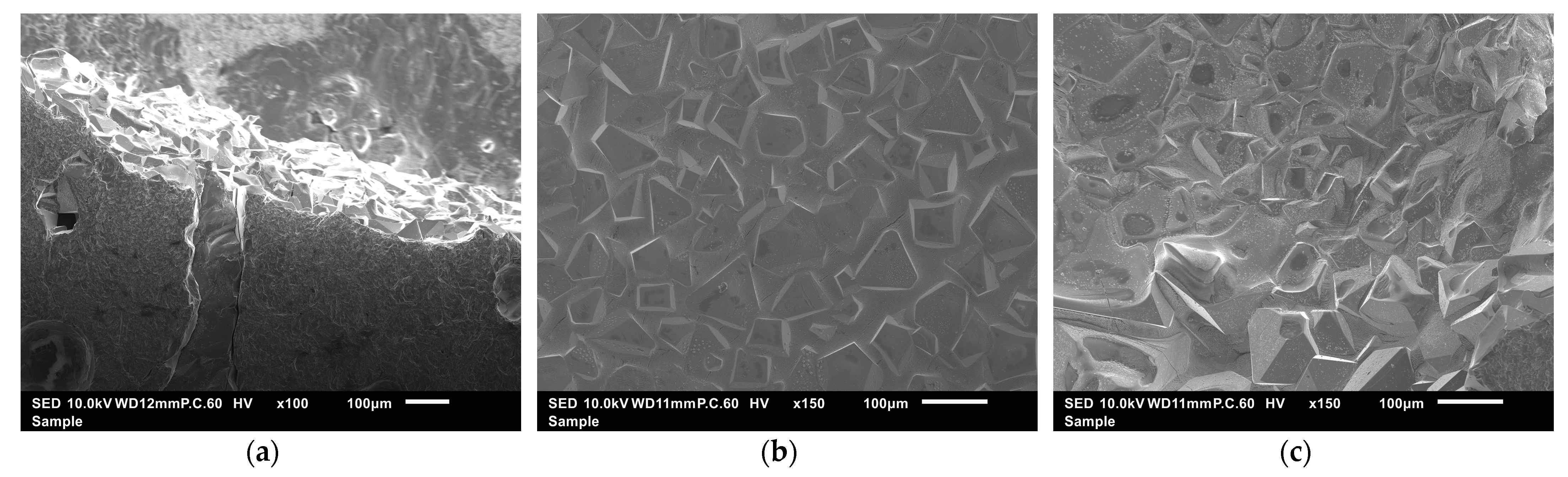 Metals 14 01271 g011