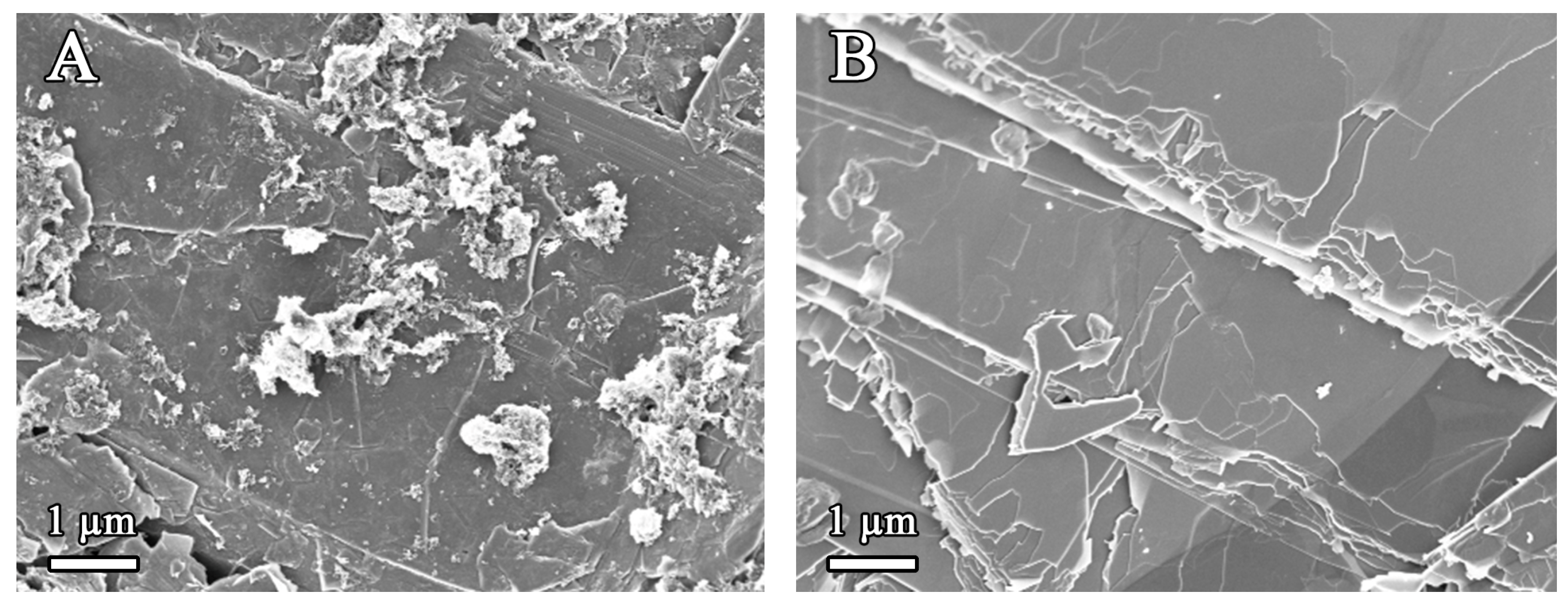 Metals 14 01275 g003