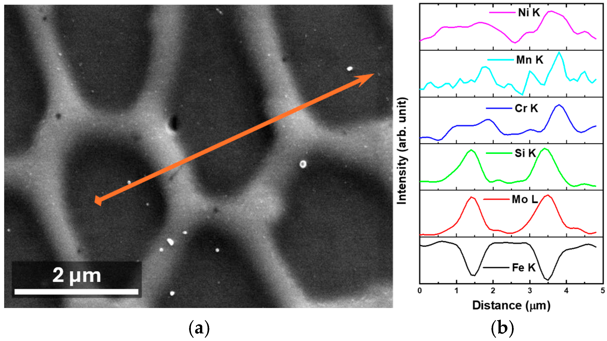 Metals 14 01278 g005