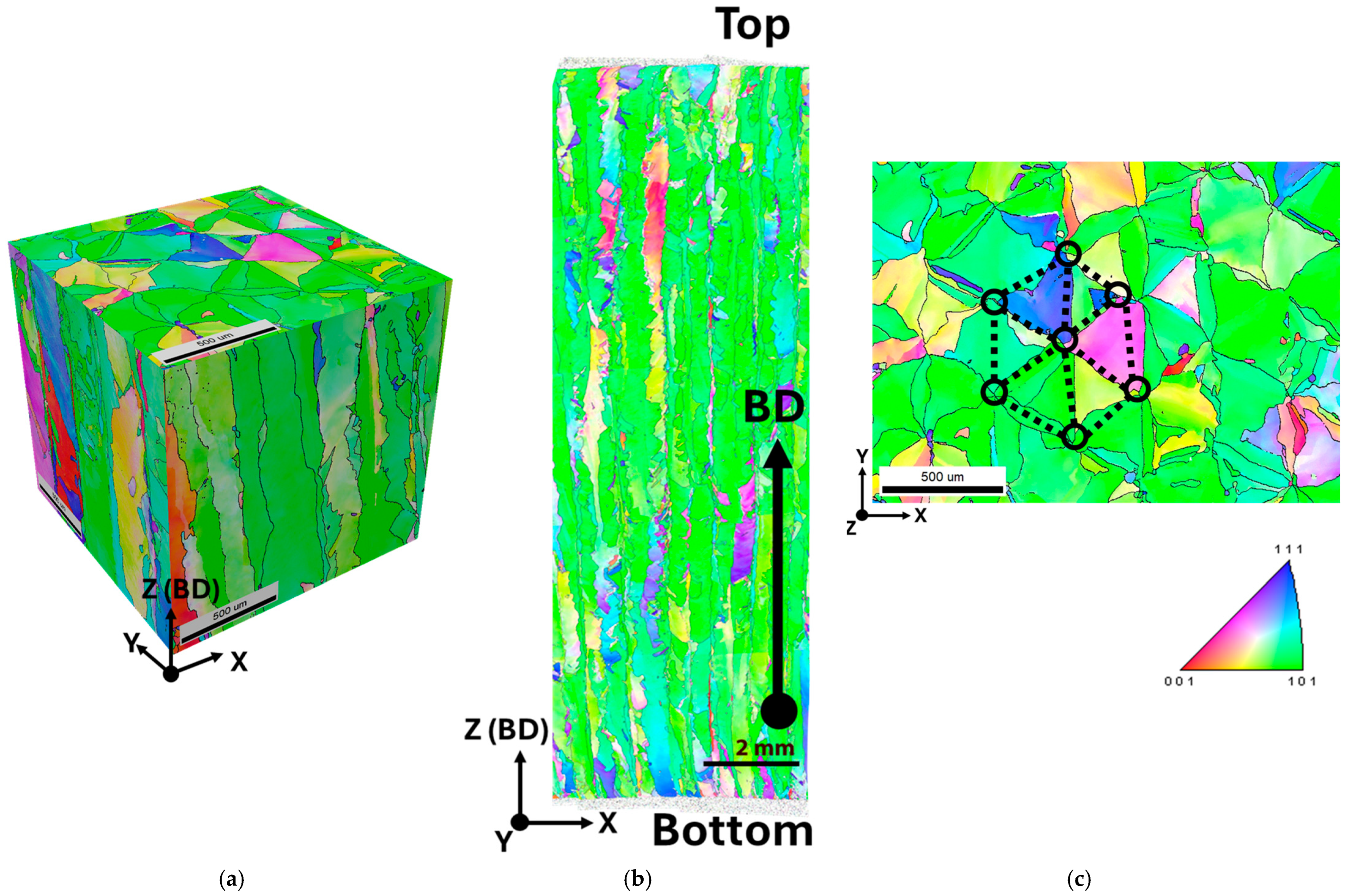 Metals 14 01278 g007