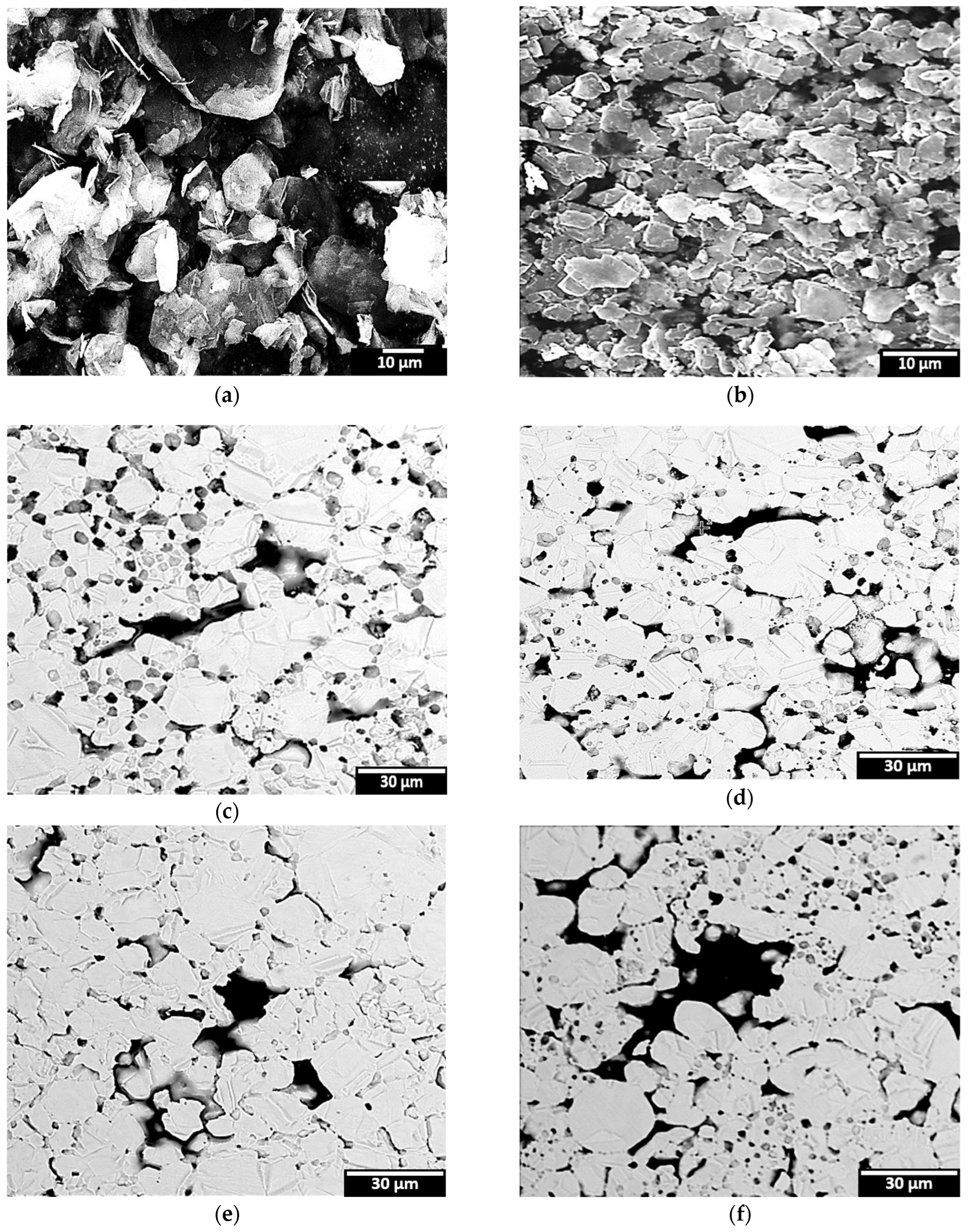 Metals 14 01279 g006