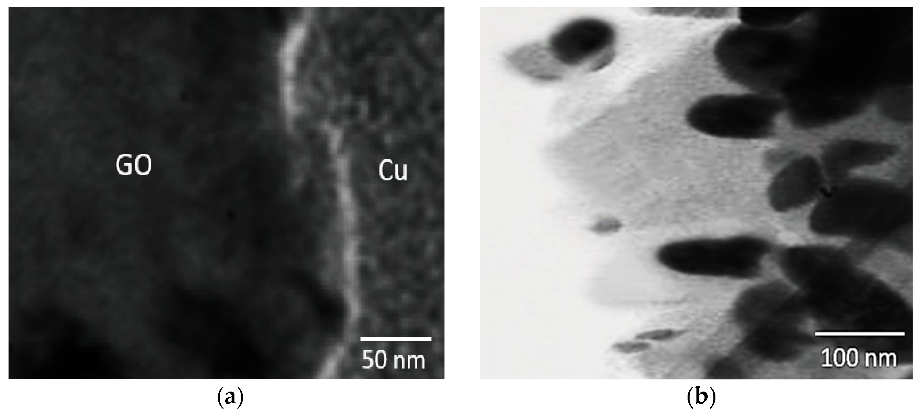 Metals 14 01279 g010