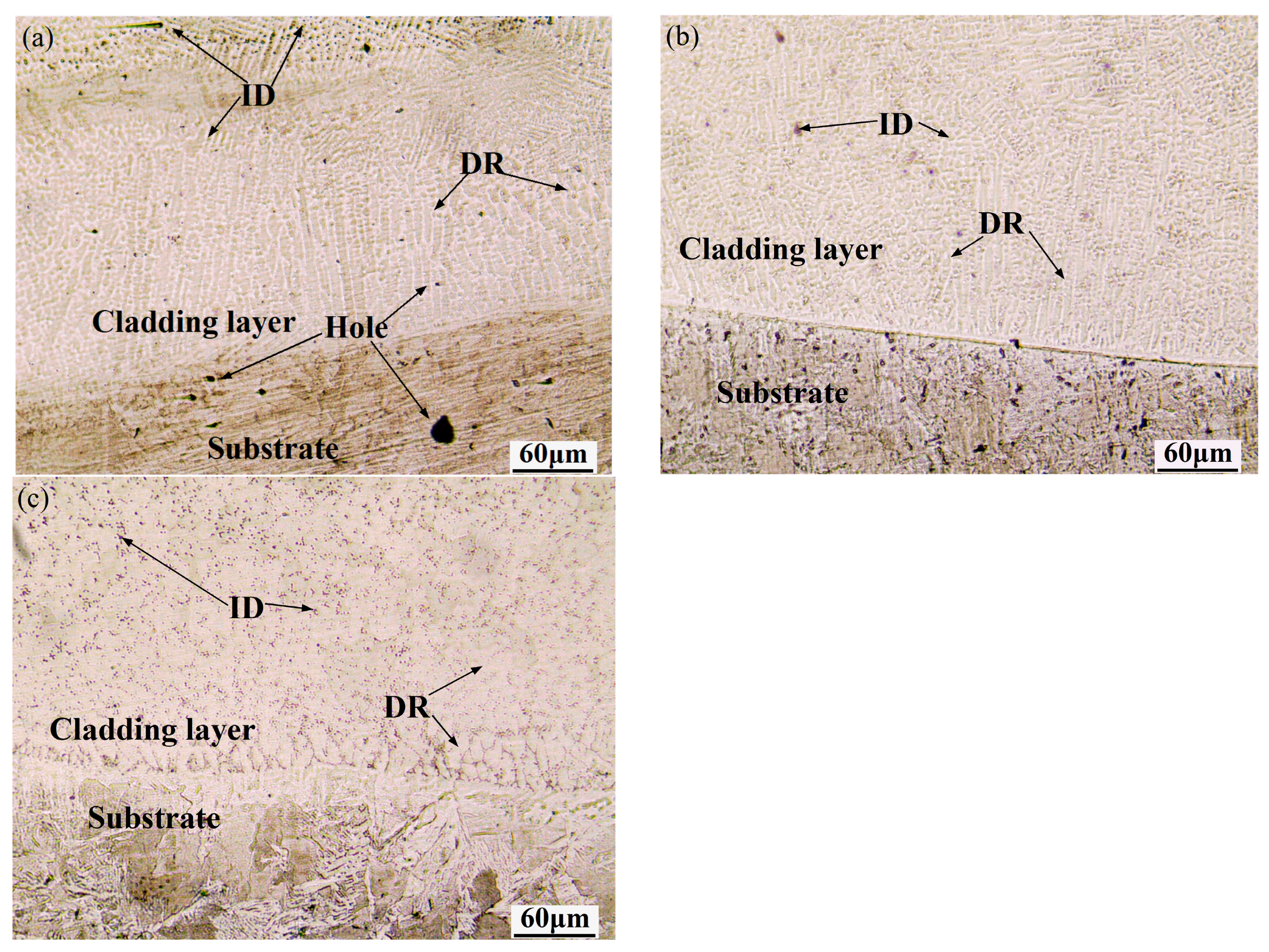 Microstructure and Wear Behavior of AlxCoCuNiTi (x = 0, 0.4