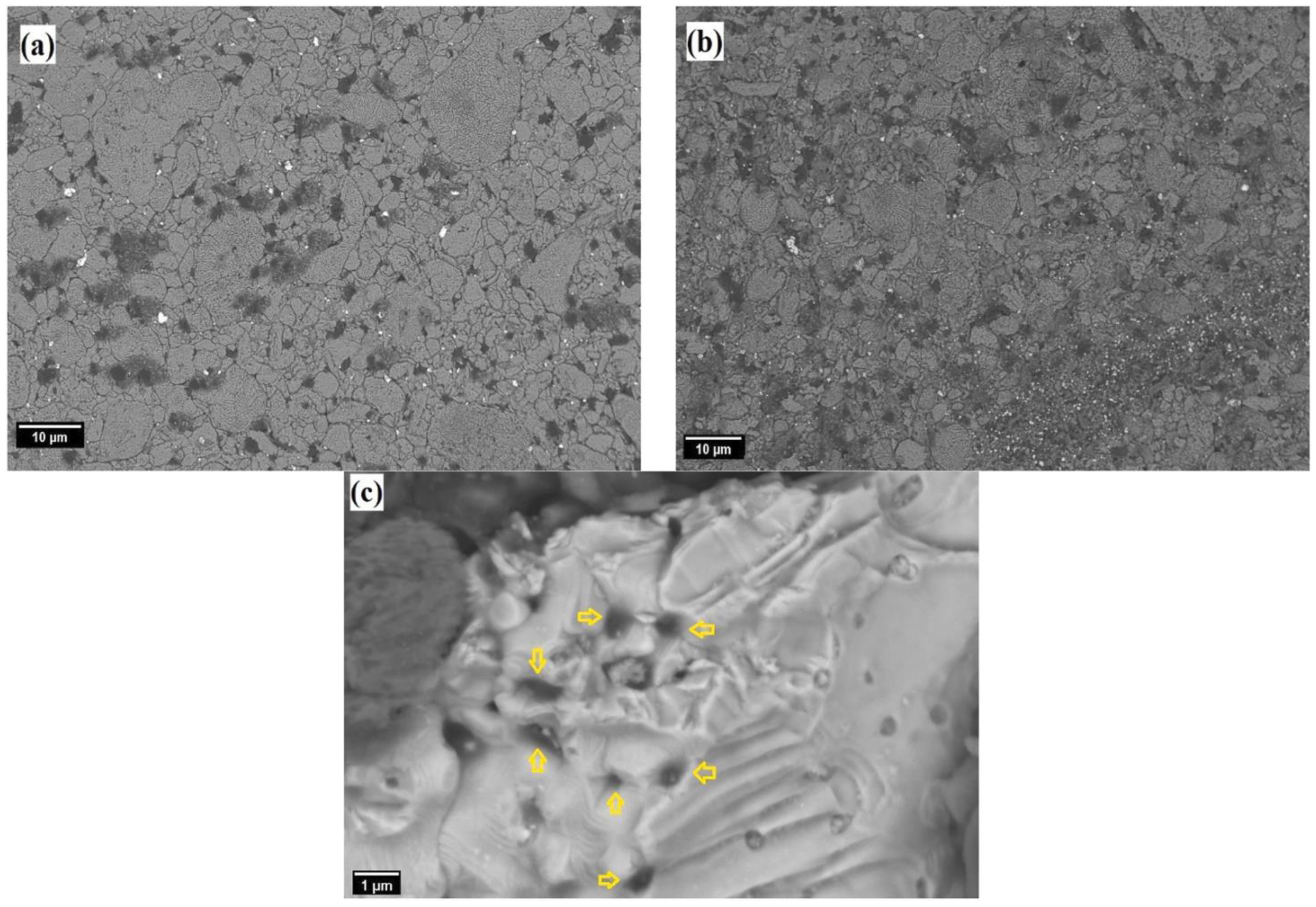 Metals 14 01283 g006