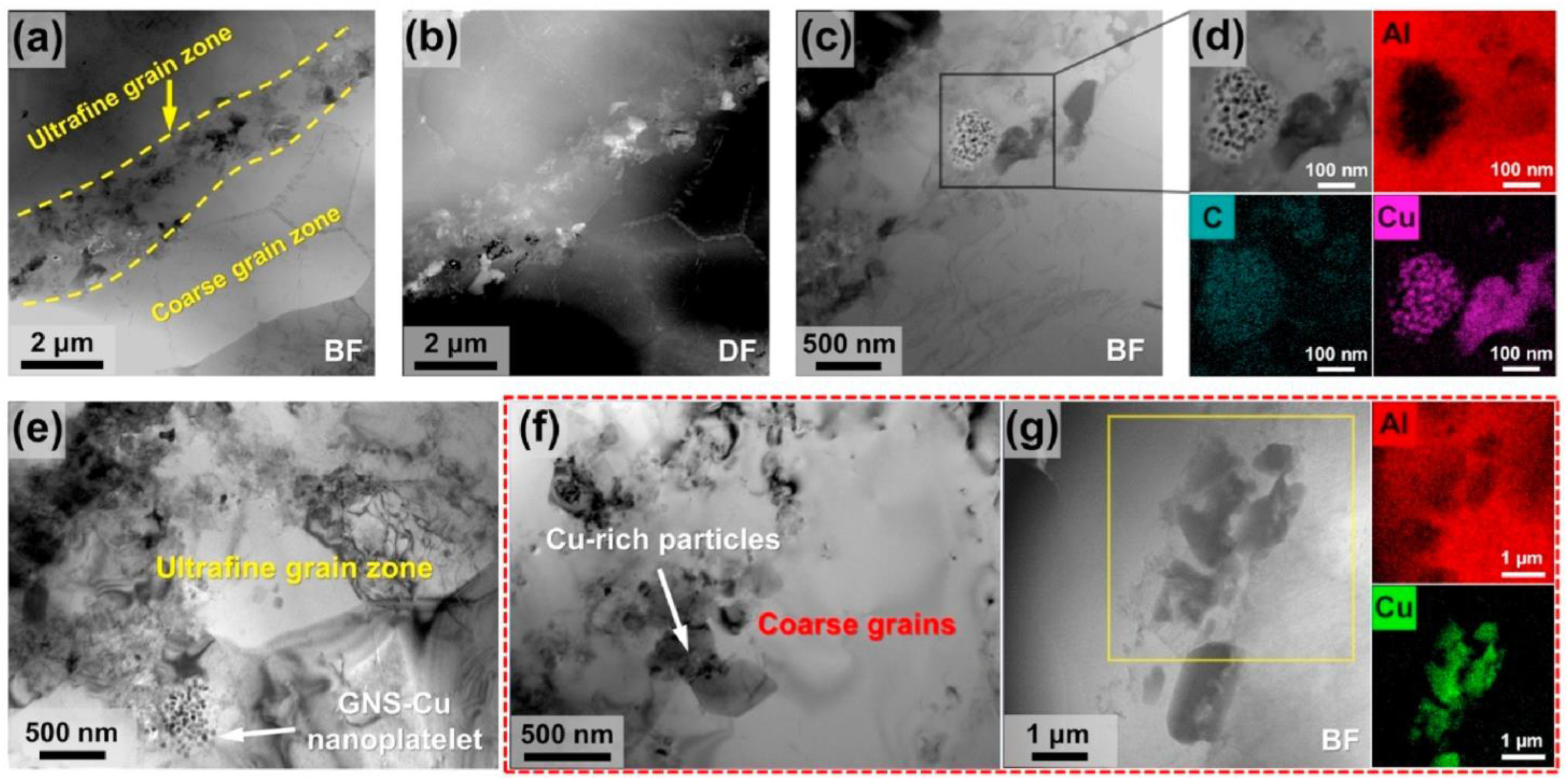 Metals 14 01283 g007