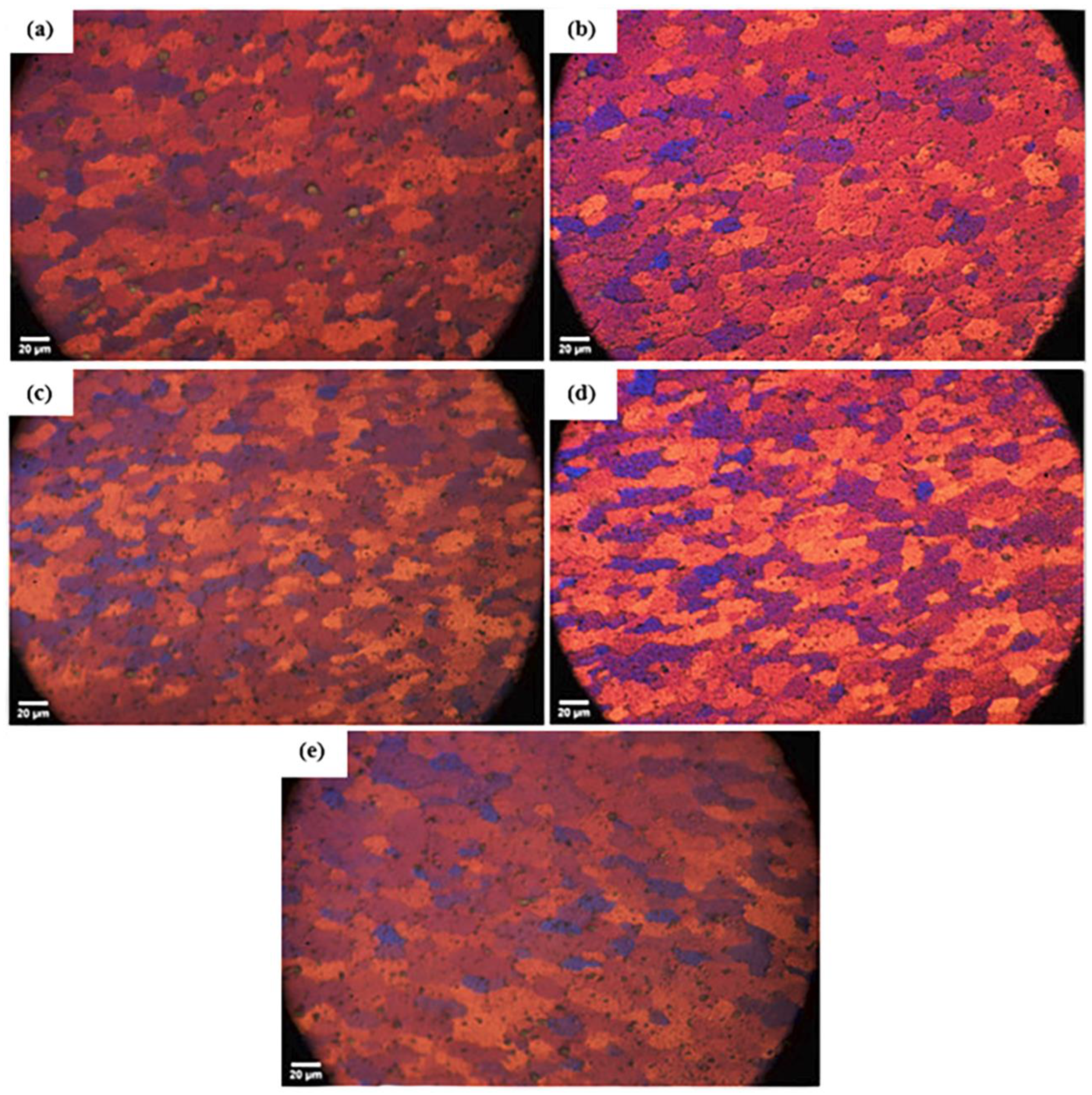 Metals 14 01283 g010