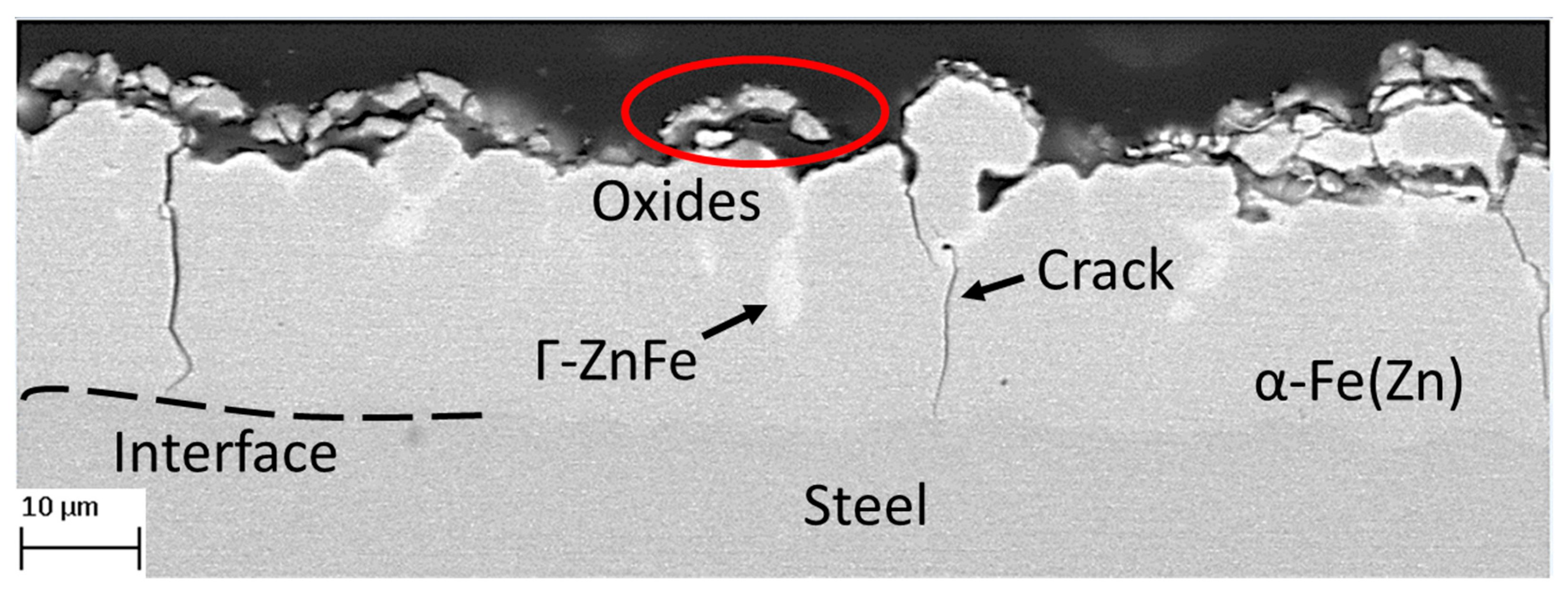 Metals 14 01285 g006