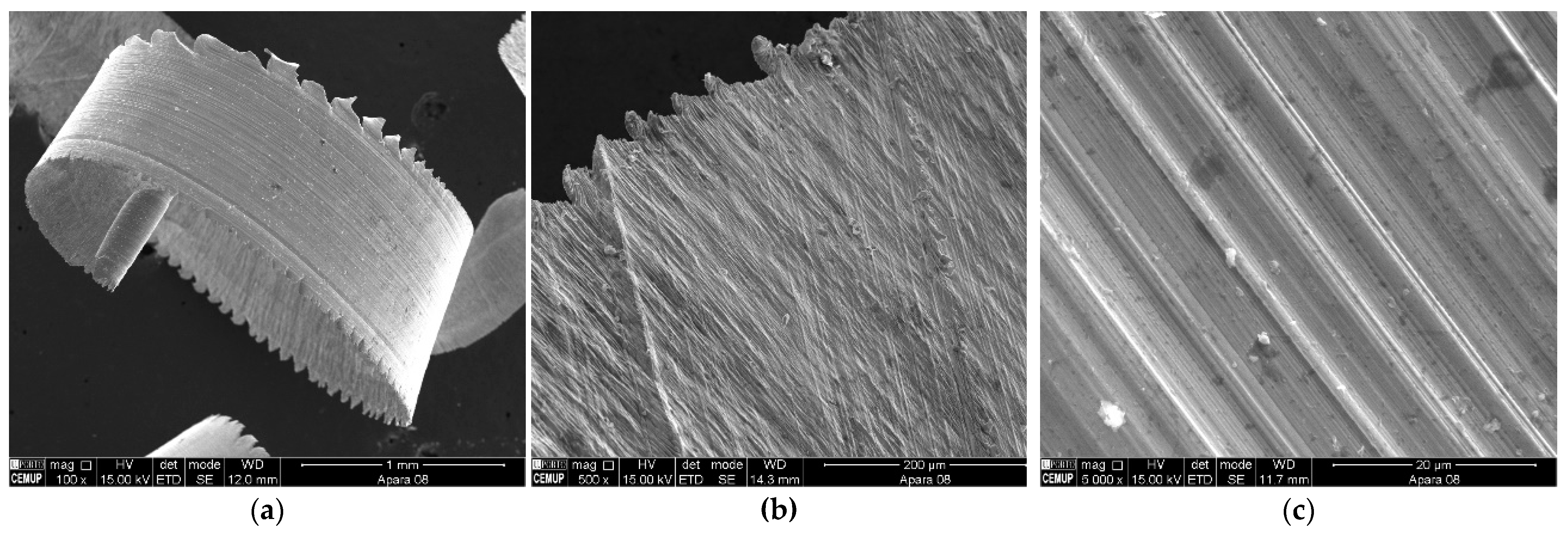 Metals 14 01293 g003