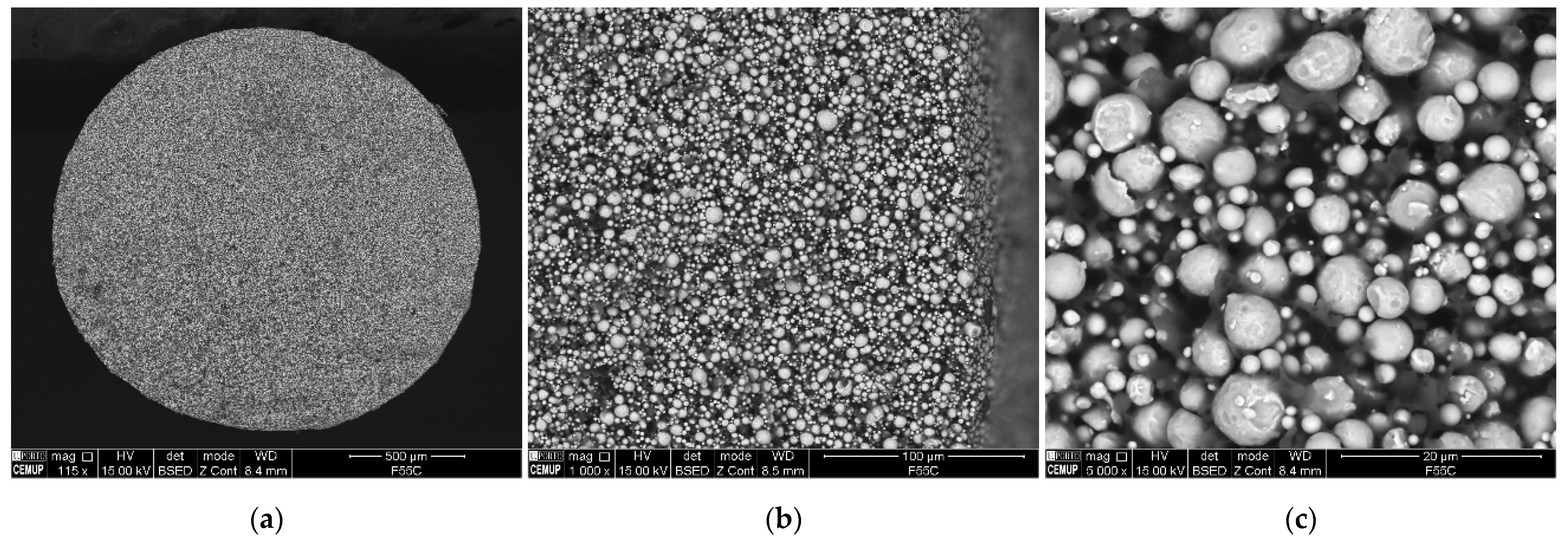 Metals 14 01293 g018