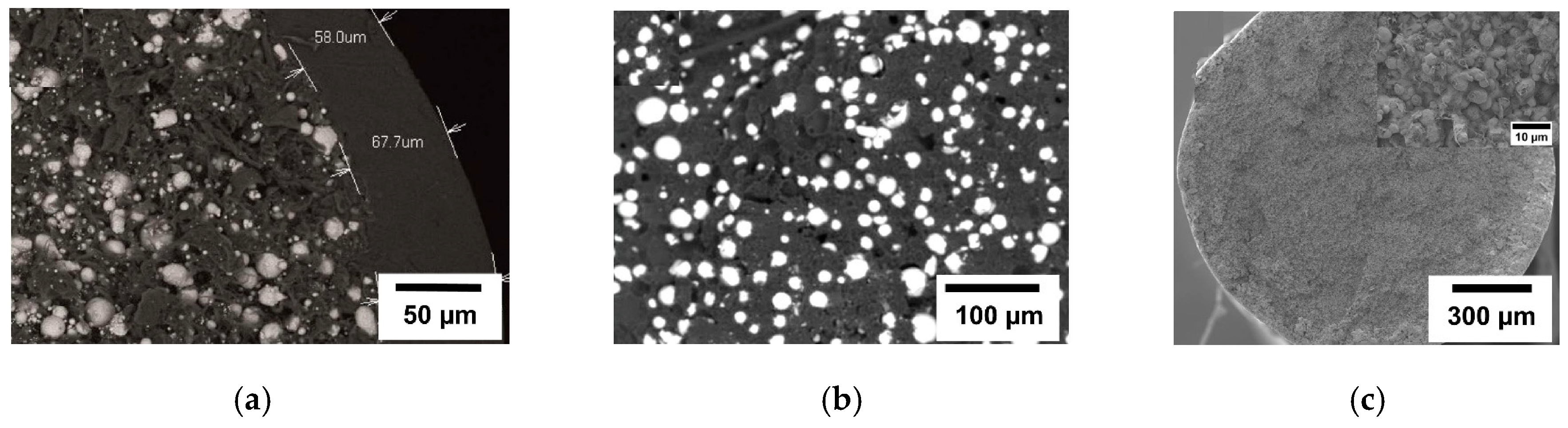 Metals 14 01296 g010