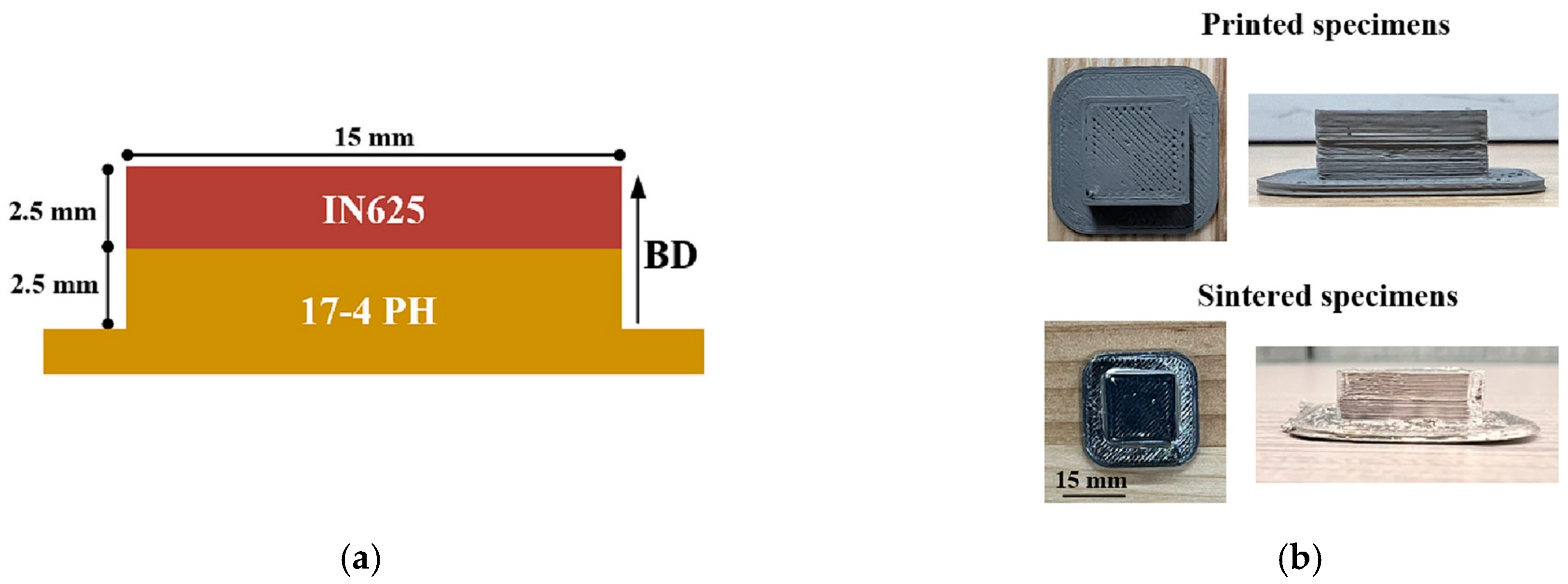 Metals 14 01296 g024