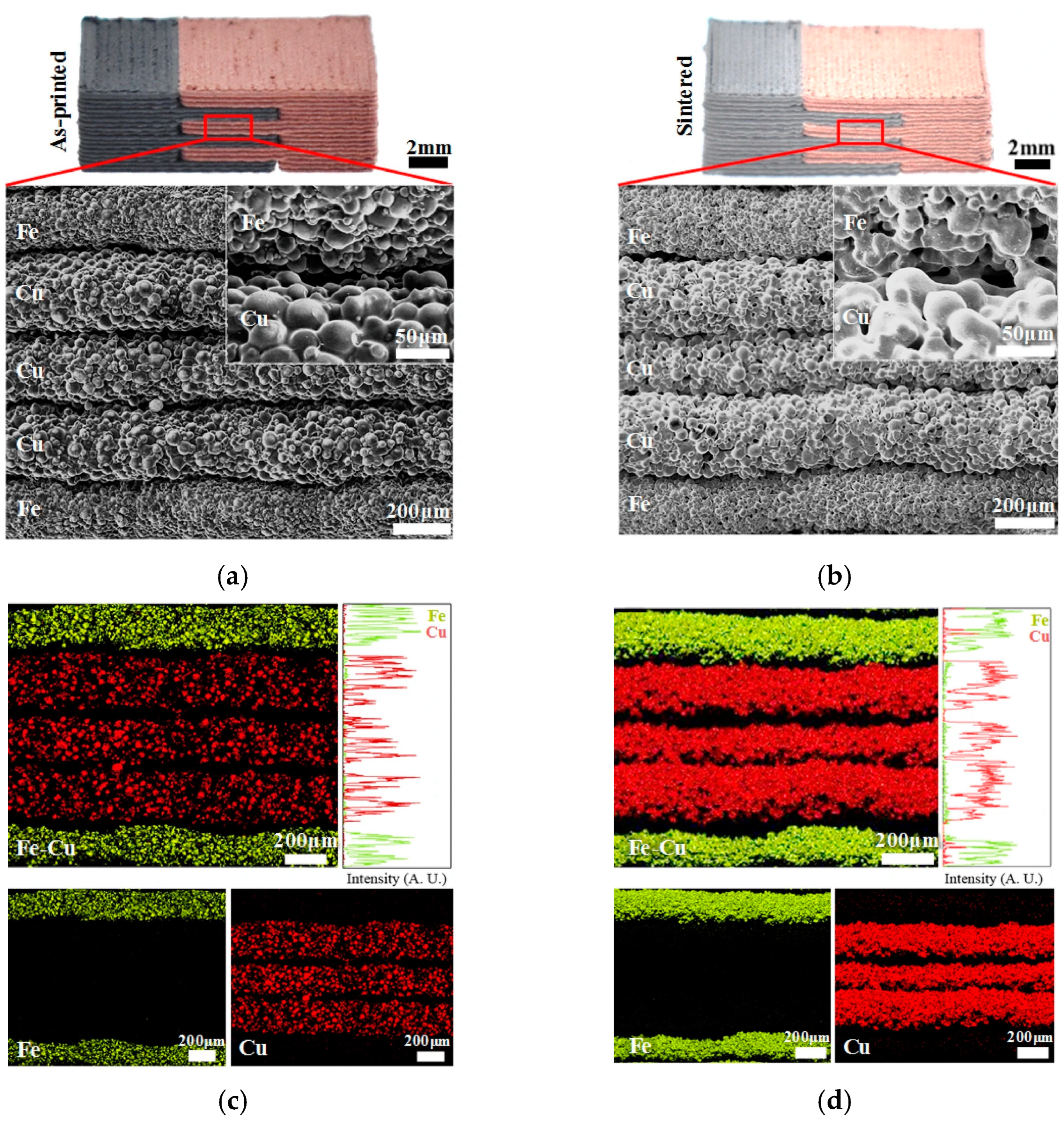 Metals 14 01296 g029