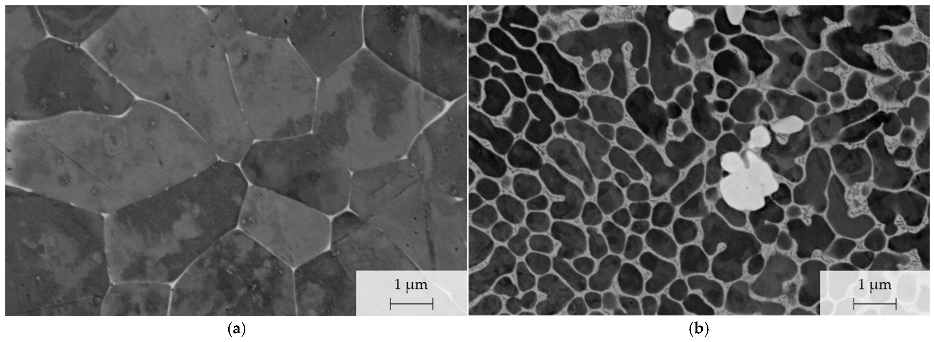 Metals 14 01304 g006