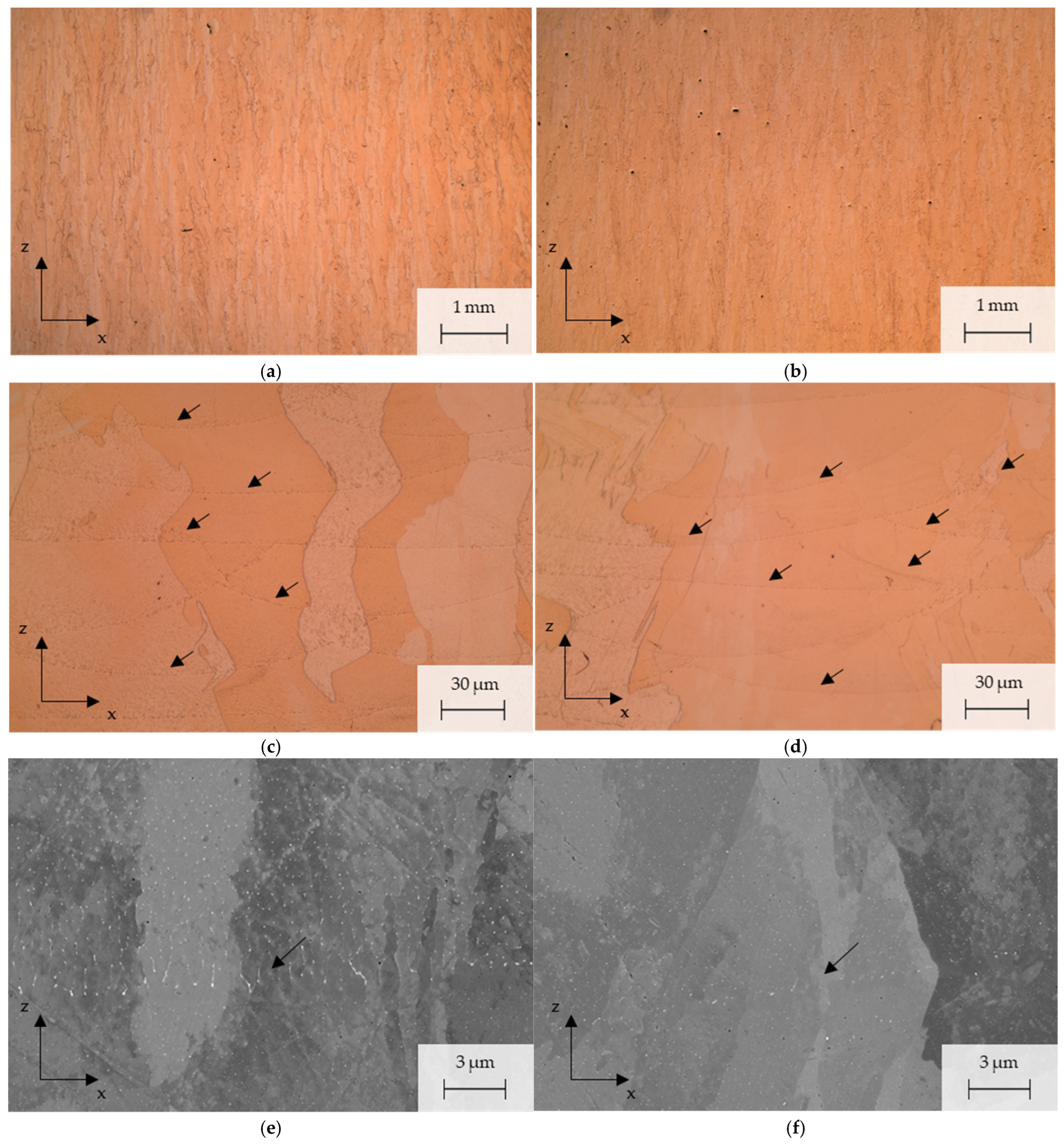 Metals 14 01304 g007