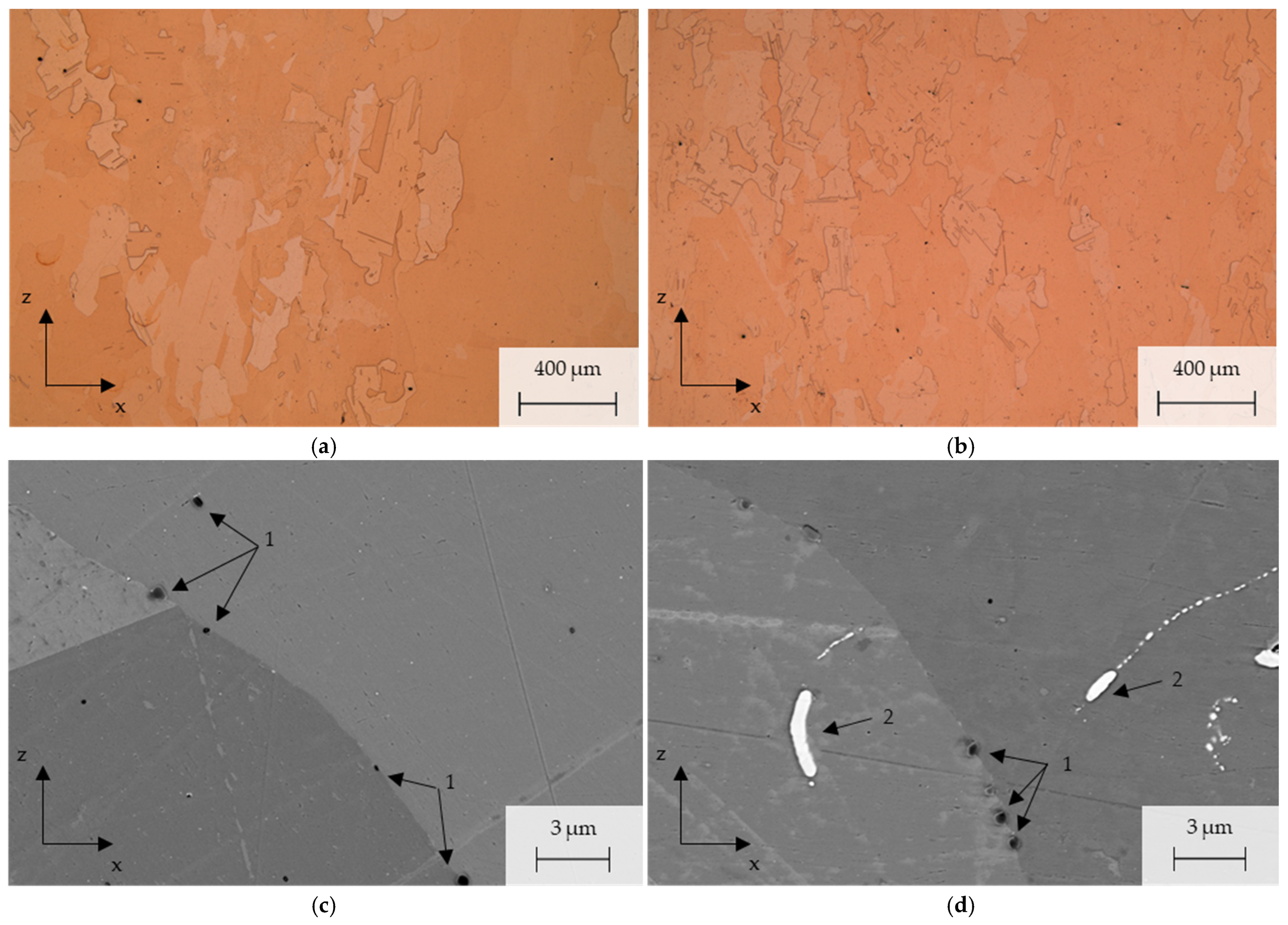 Metals 14 01304 g008