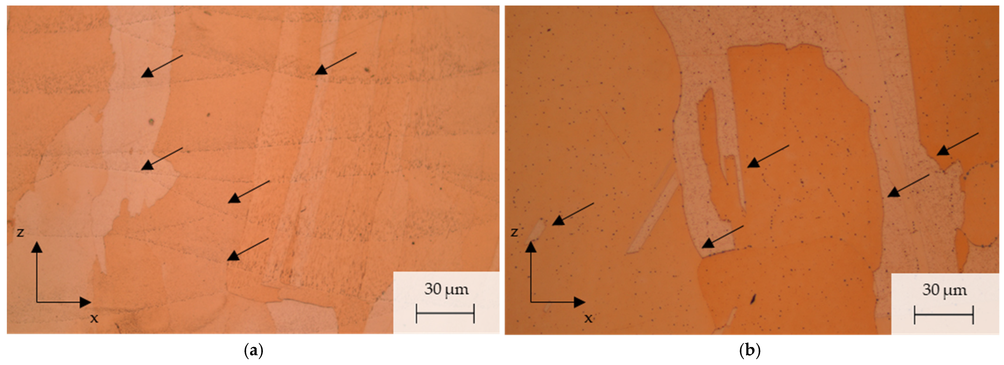 Metals 14 01304 g012a