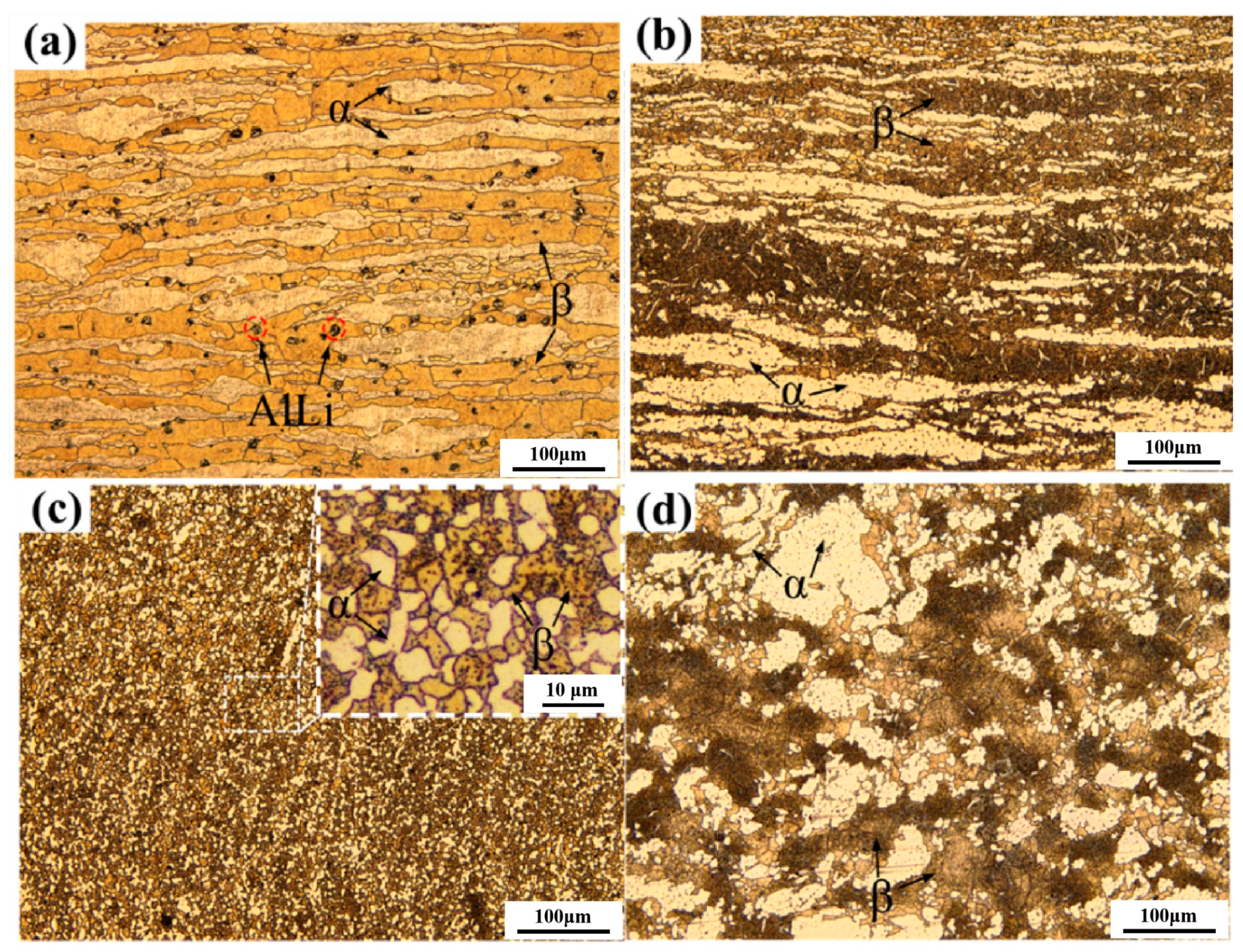 Metals 14 01305 g004