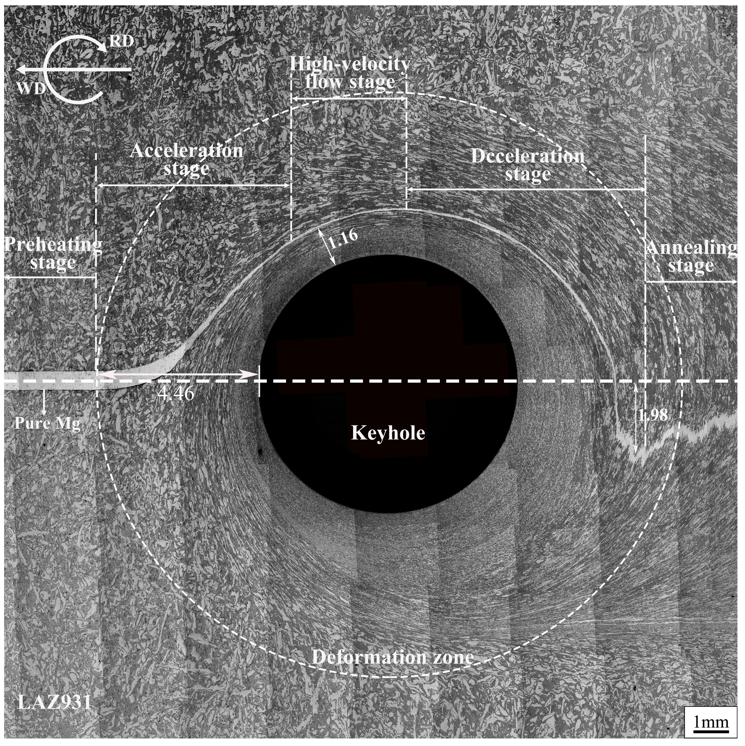 Metals 14 01305 g005