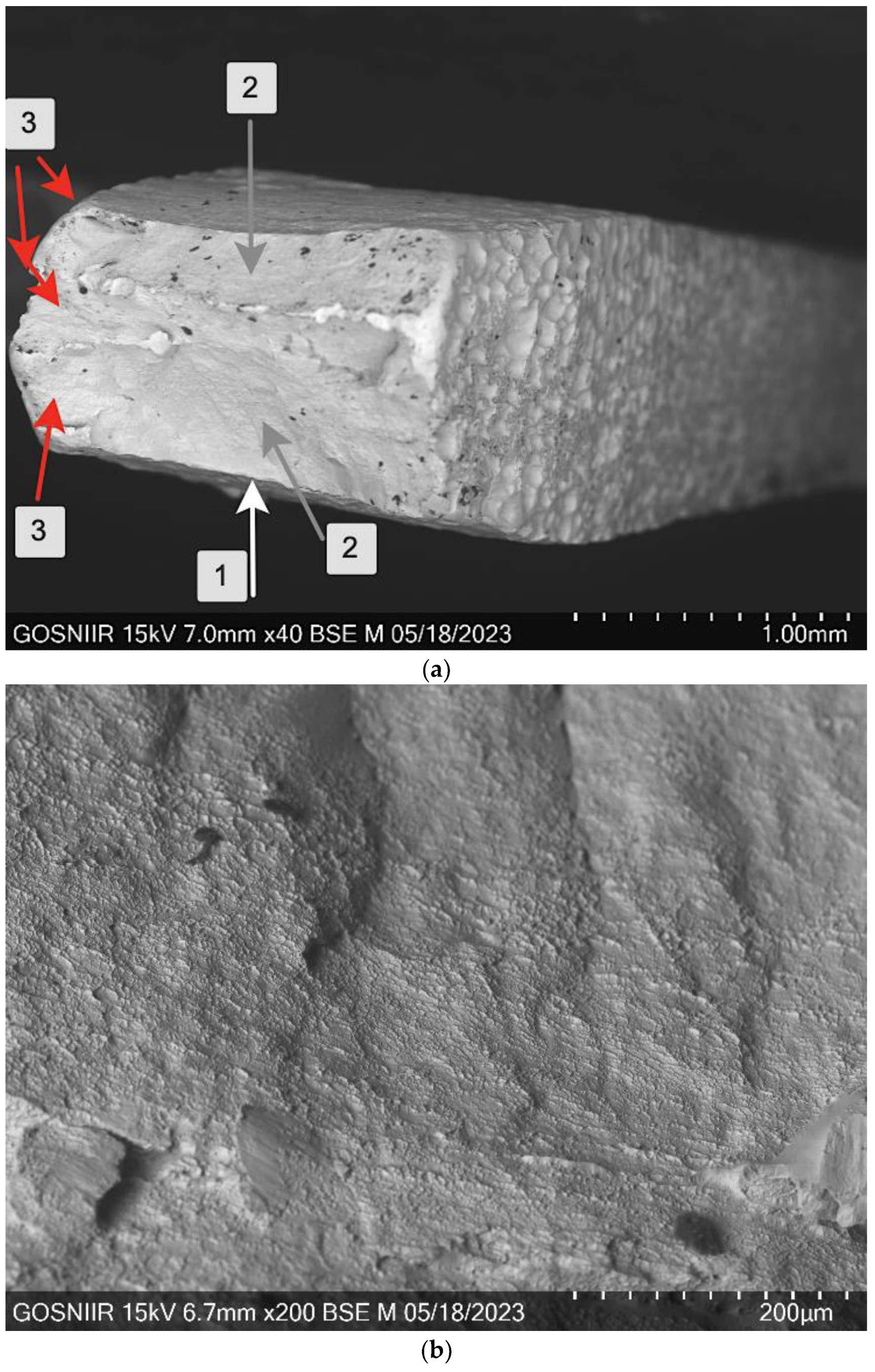 Metals 14 01311 g012