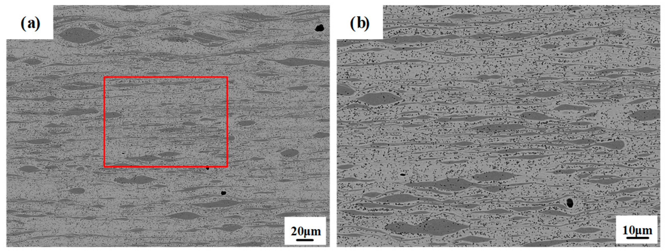 Metals 14 01313 g006