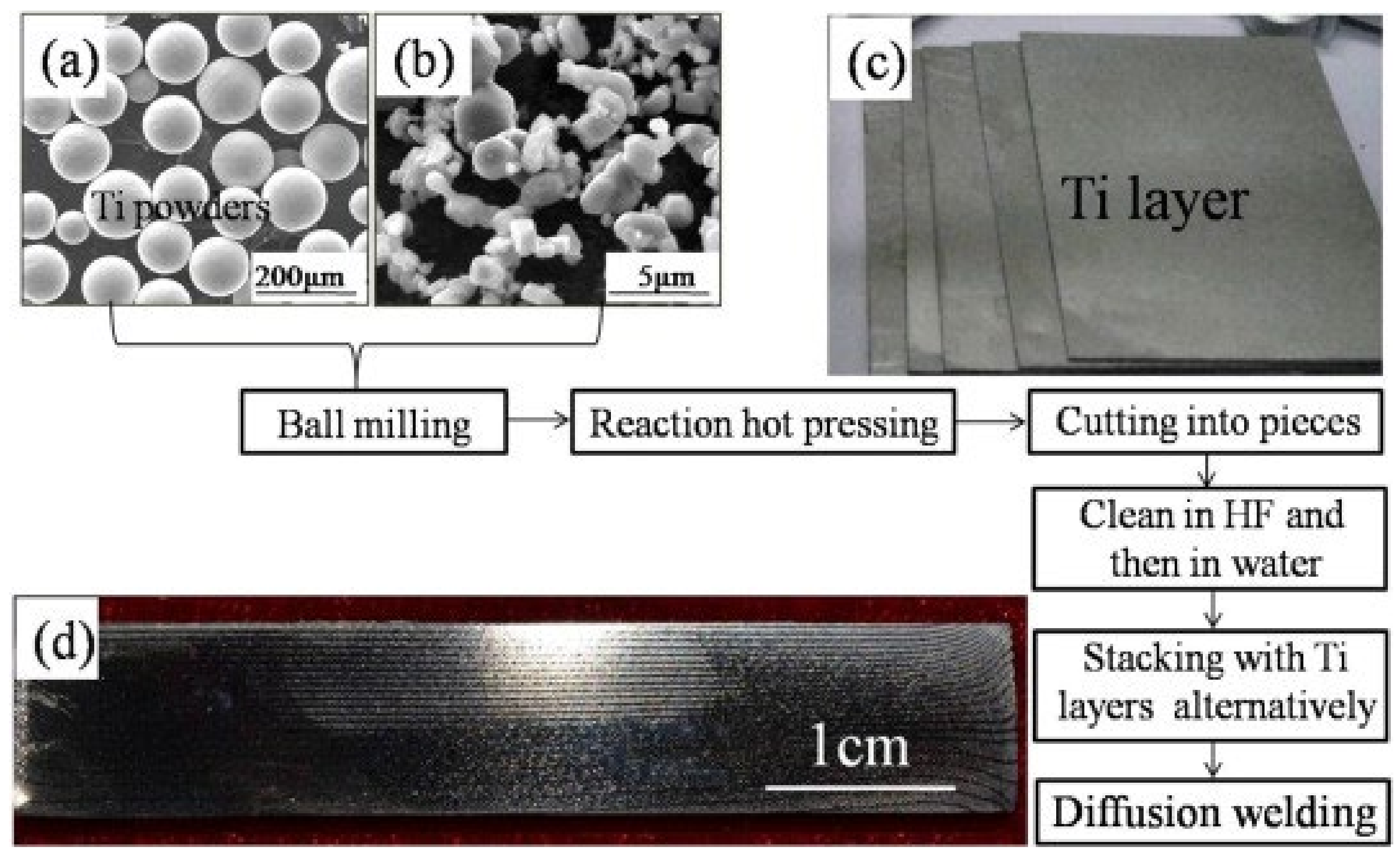 Metals 14 01316 g012