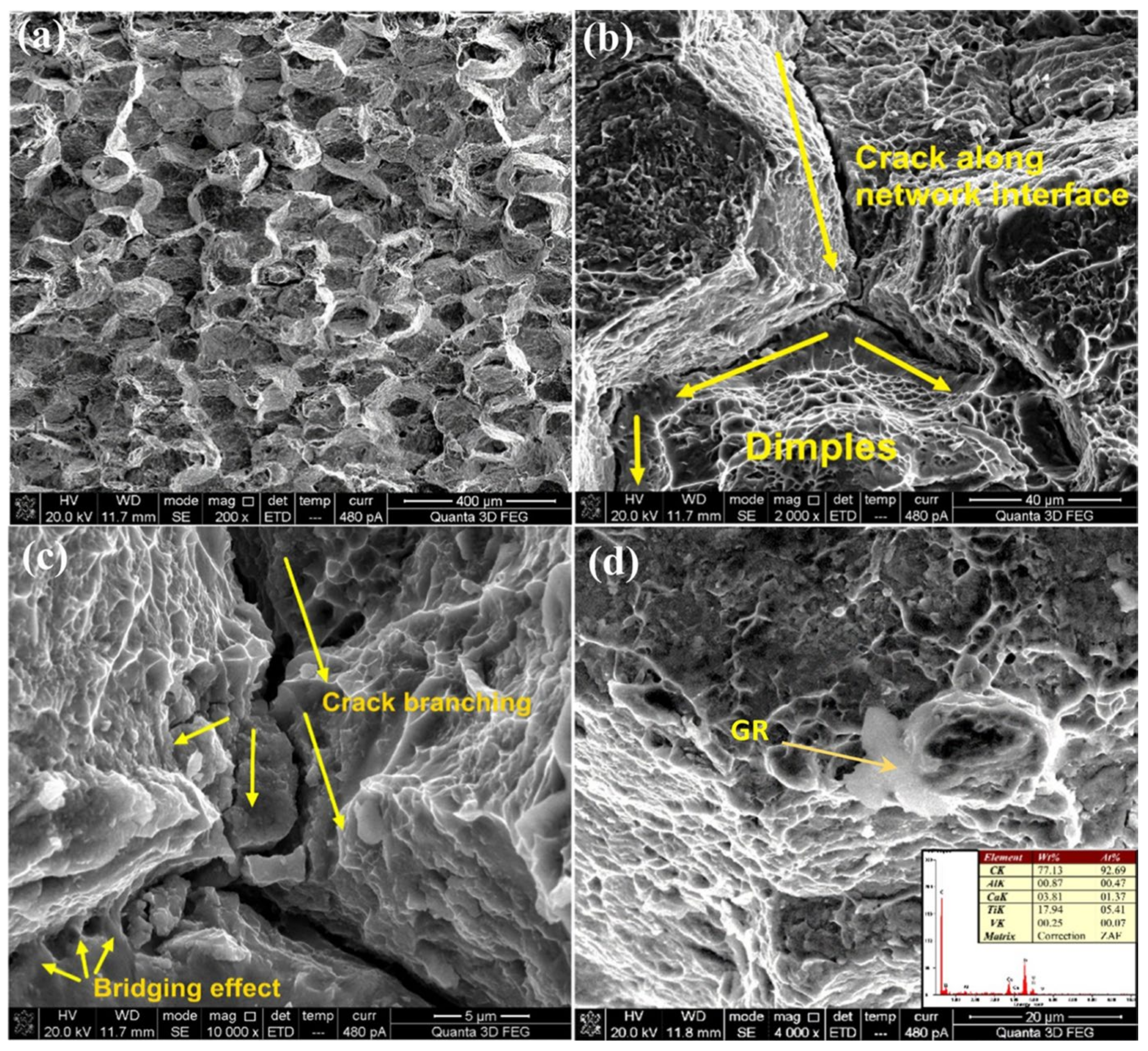 Metals 14 01316 g014