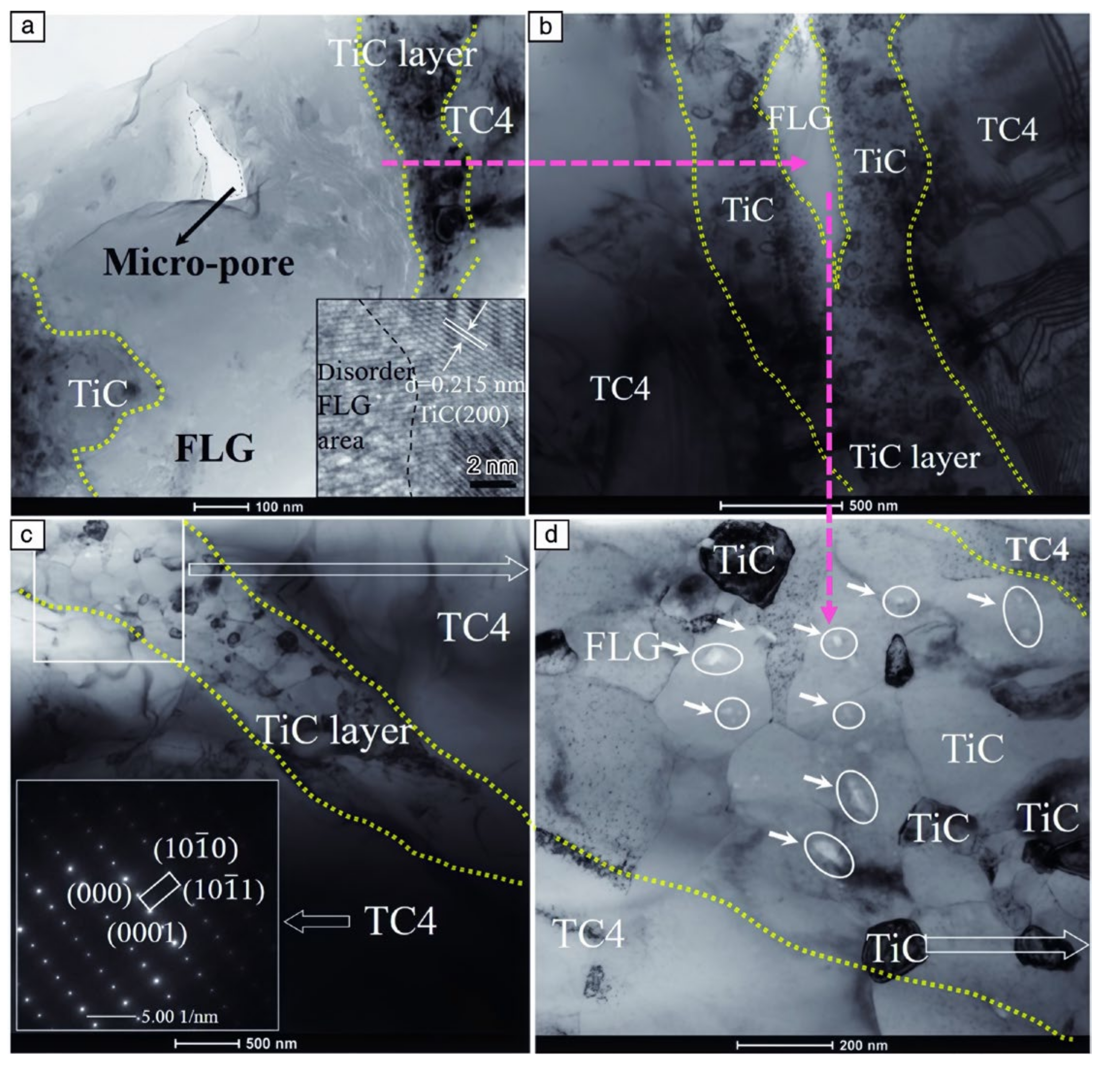 Metals 14 01316 g021