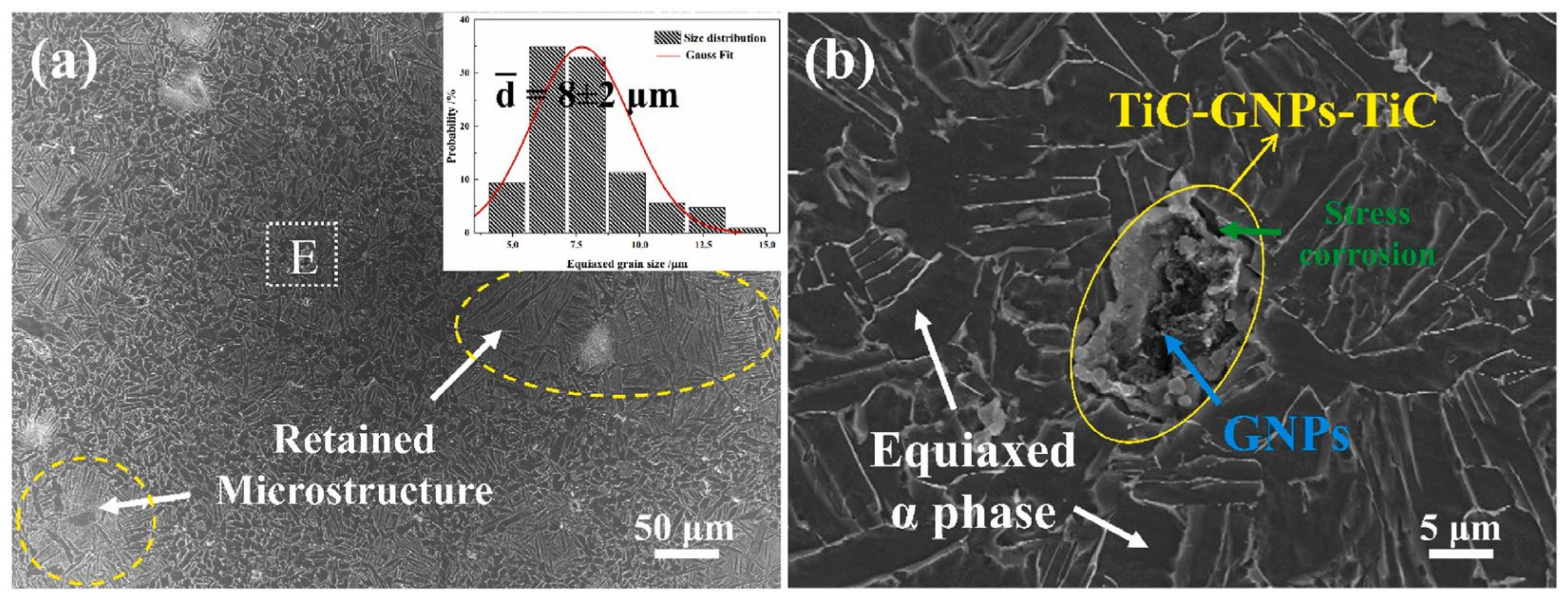 Metals 14 01316 g027