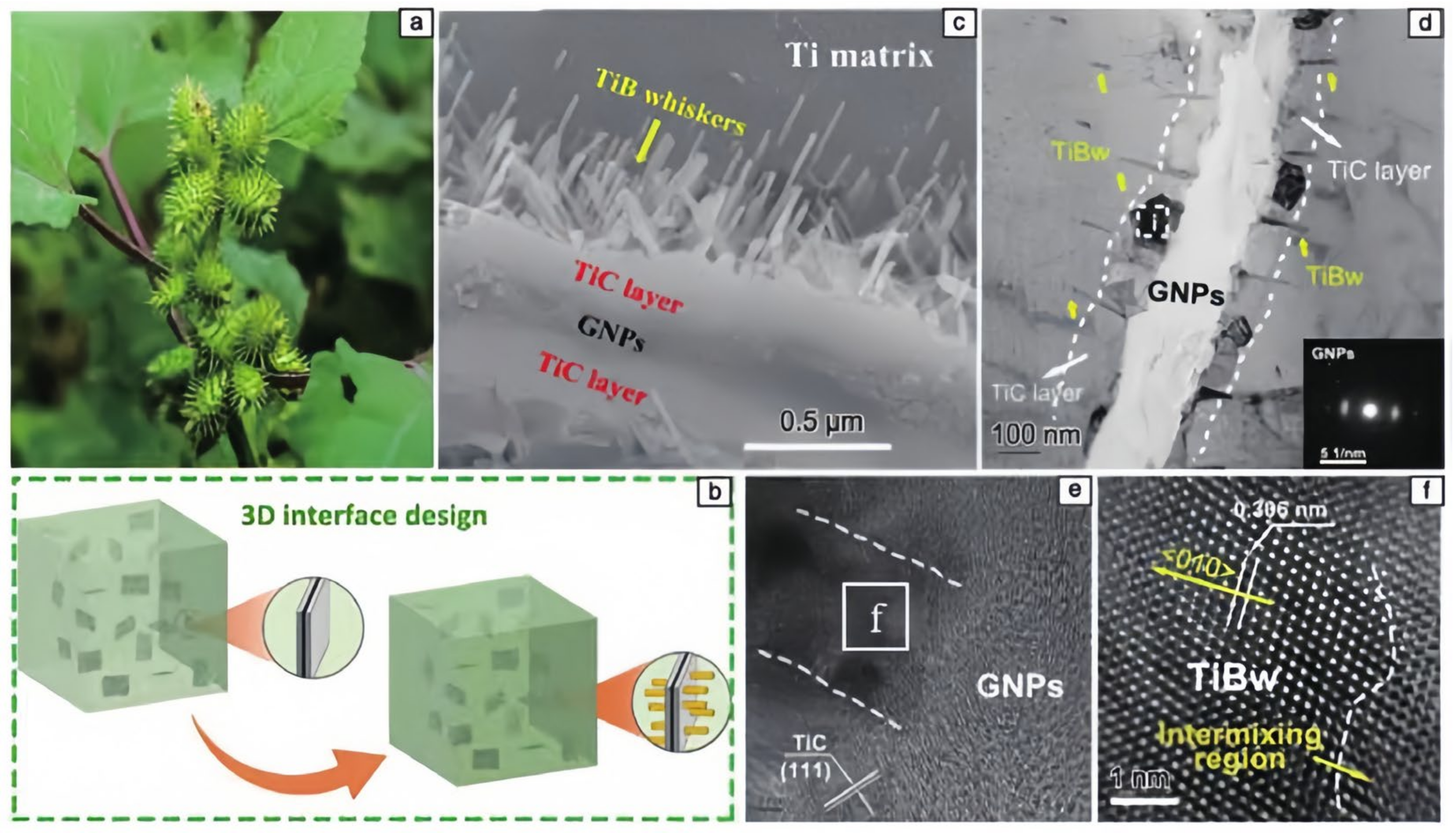 Metals 14 01316 g028