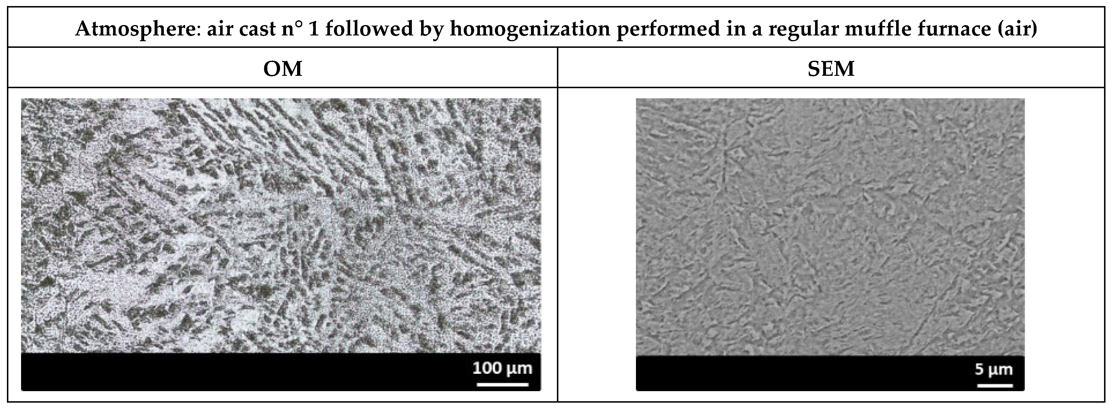 Metals 14 01317 g008b