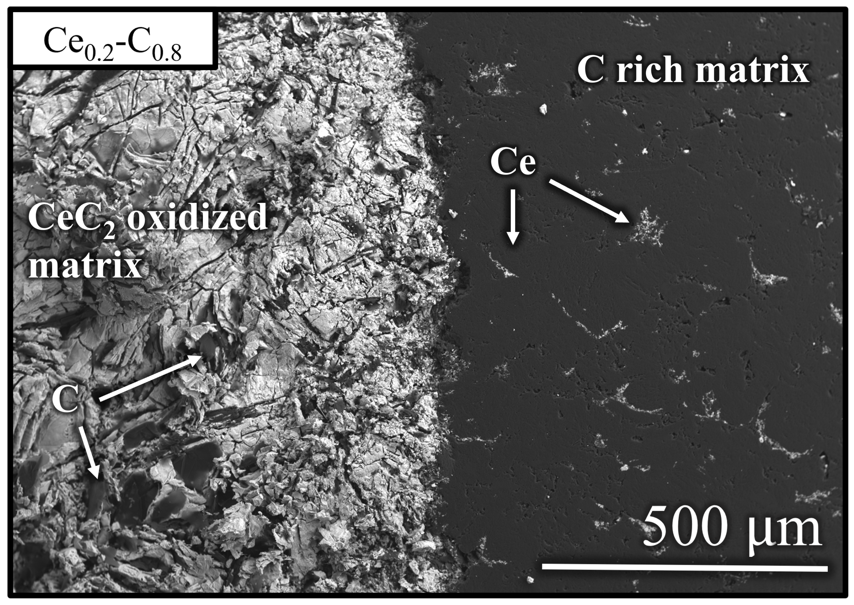 Metals 14 01322 g010