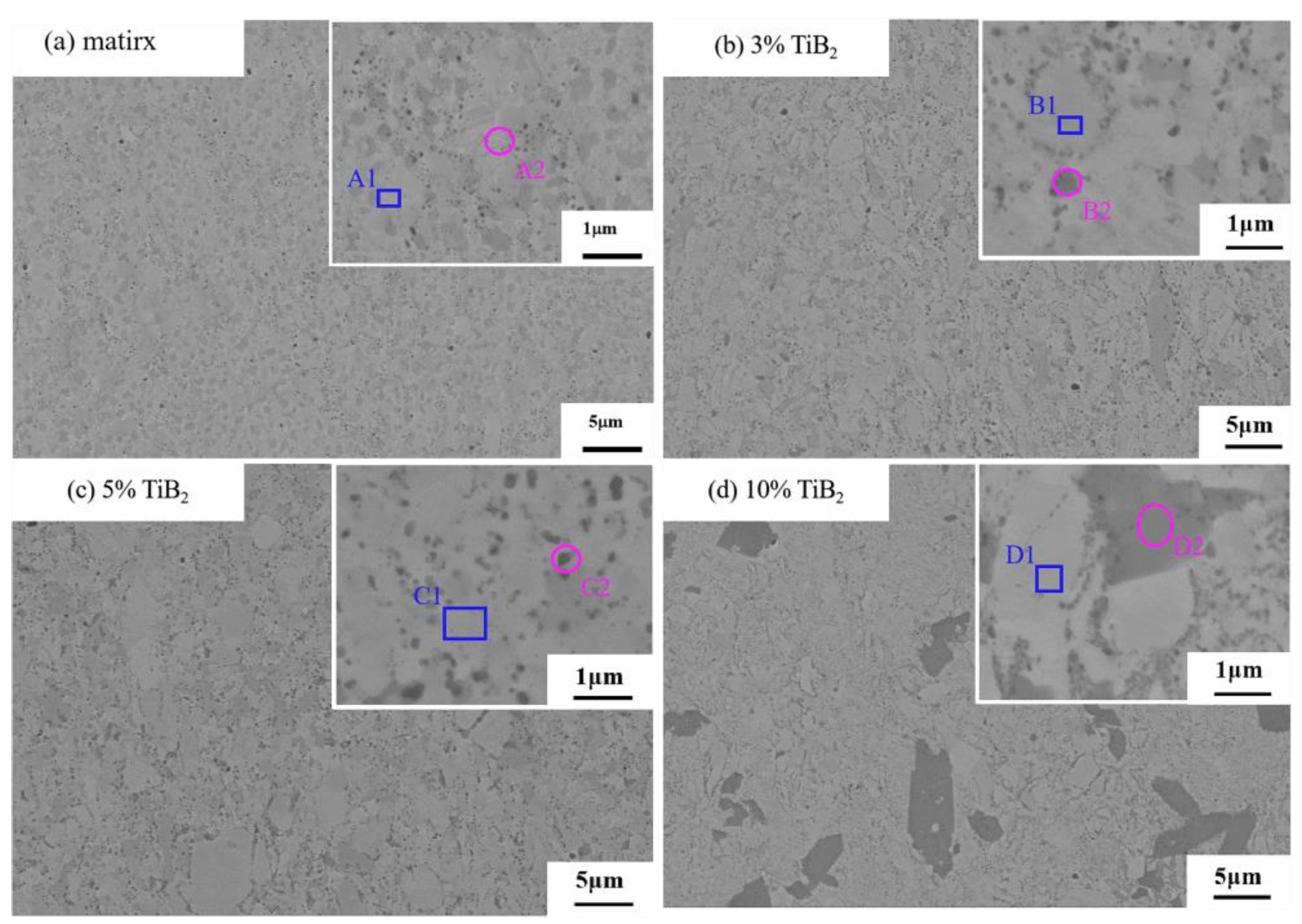 Metals 14 01325 g005