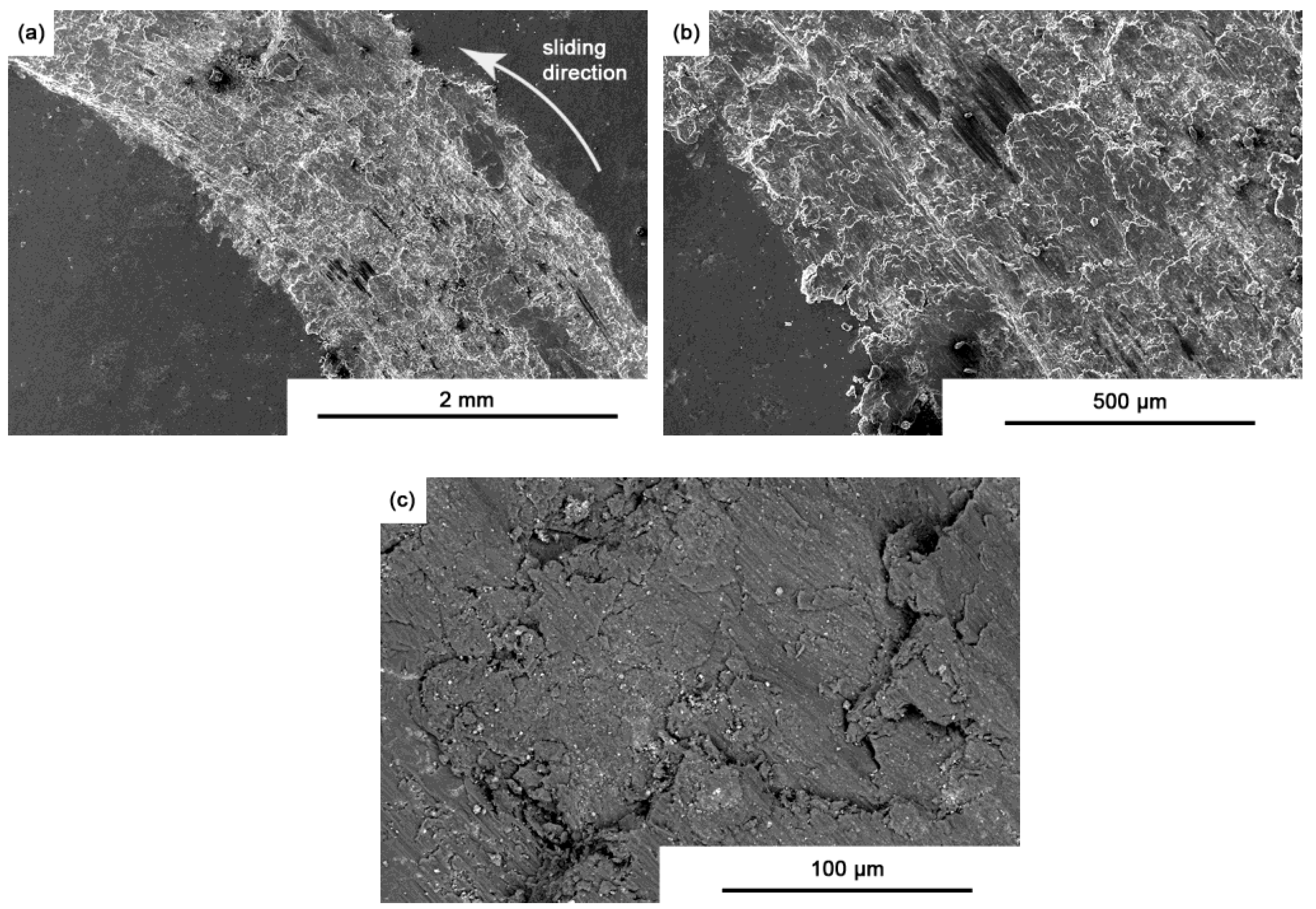 Metals 14 01326 g017