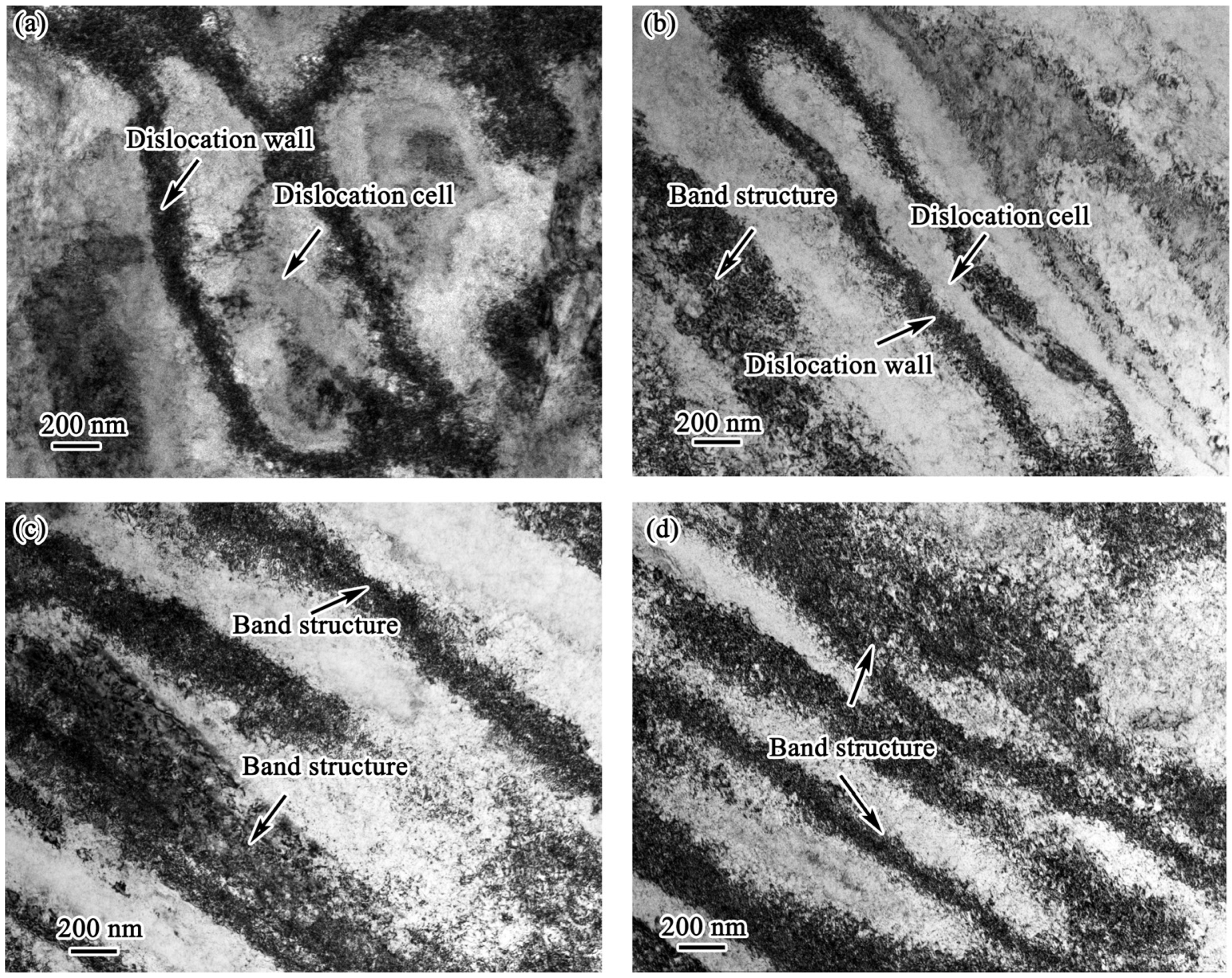 Metals 14 01330 g008