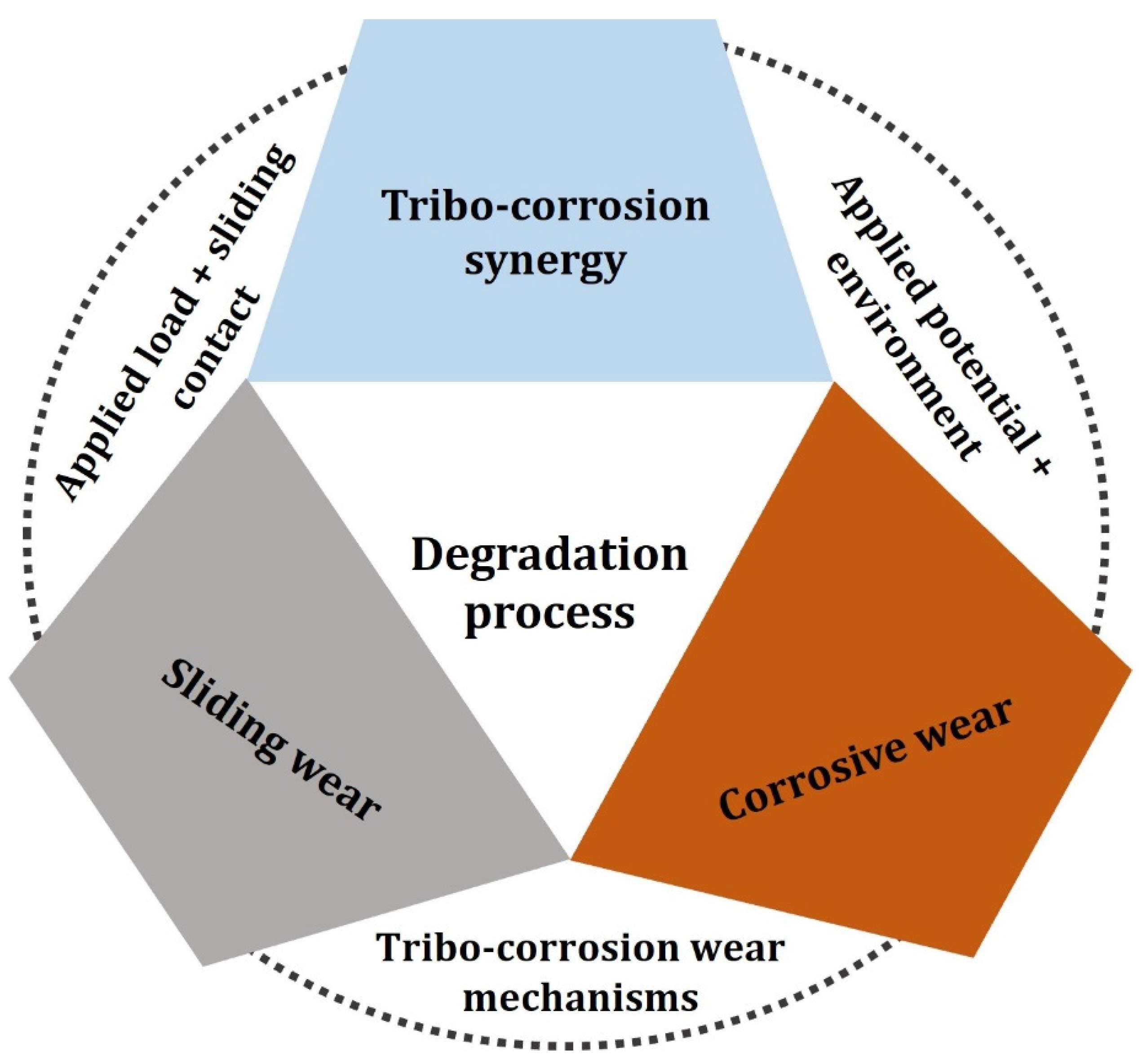 Metals 14 01334 g007