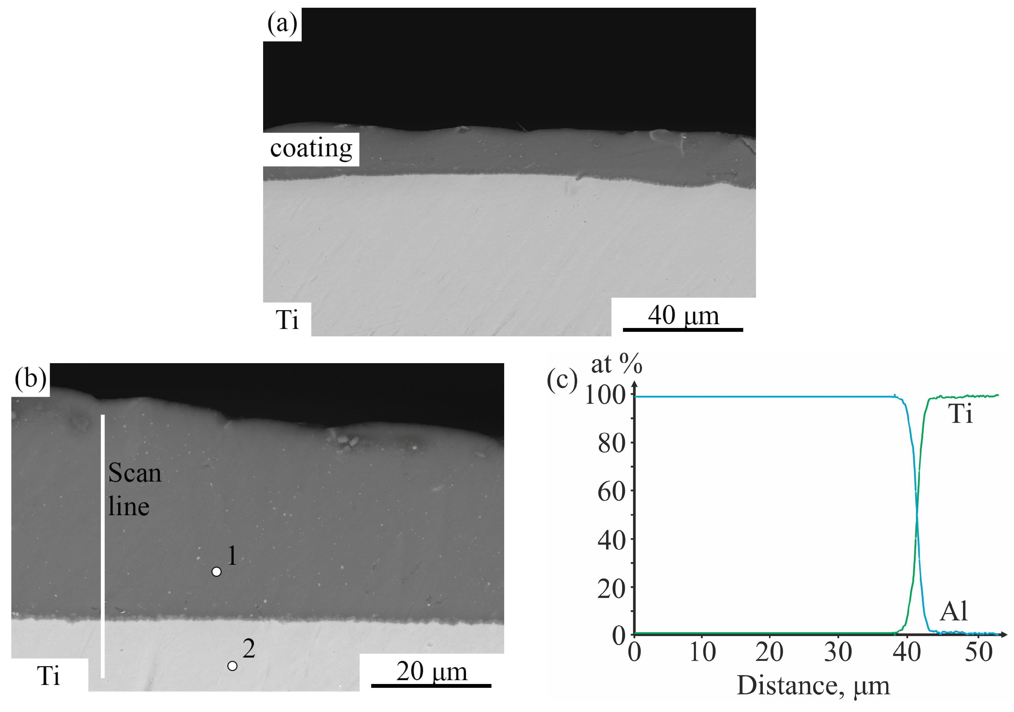 Metals 14 01336 g002a
