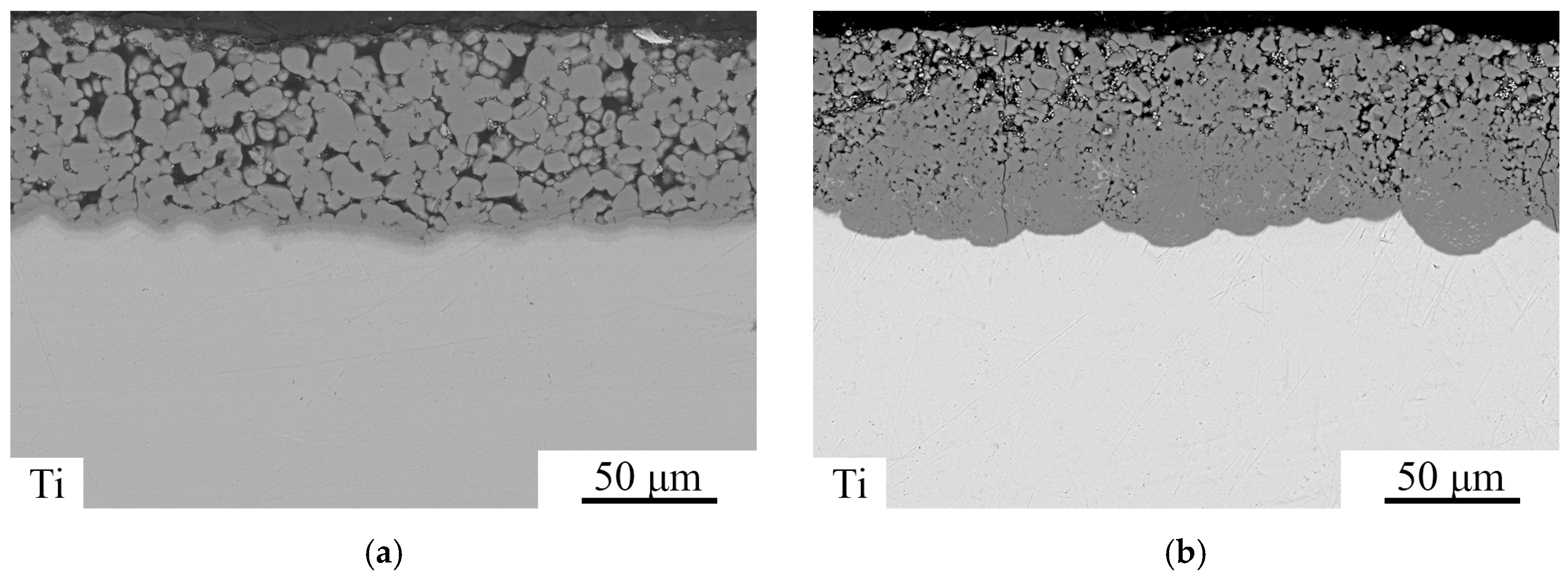 Metals 14 01336 g004a