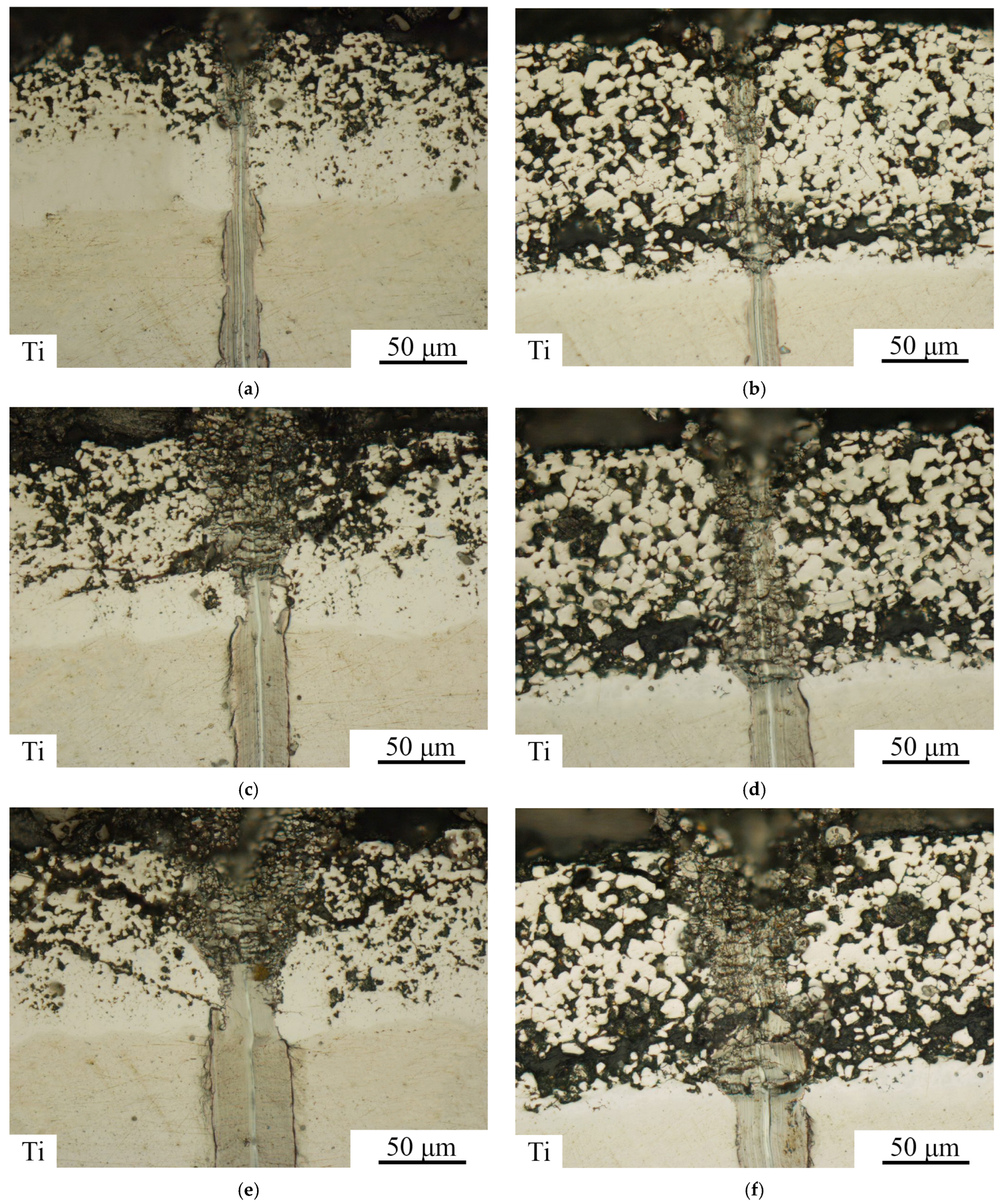 Metals 14 01336 g013