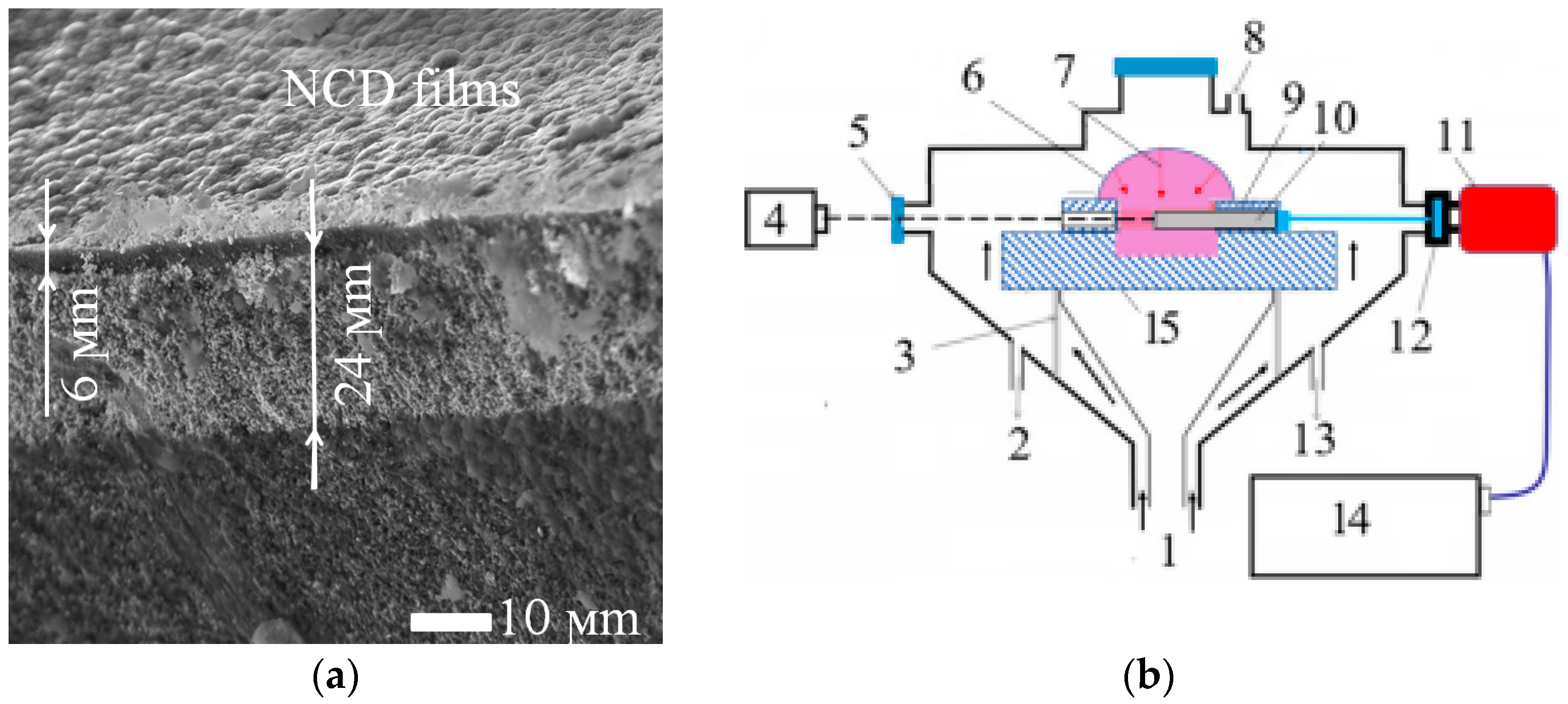Metals 14 01344 g002