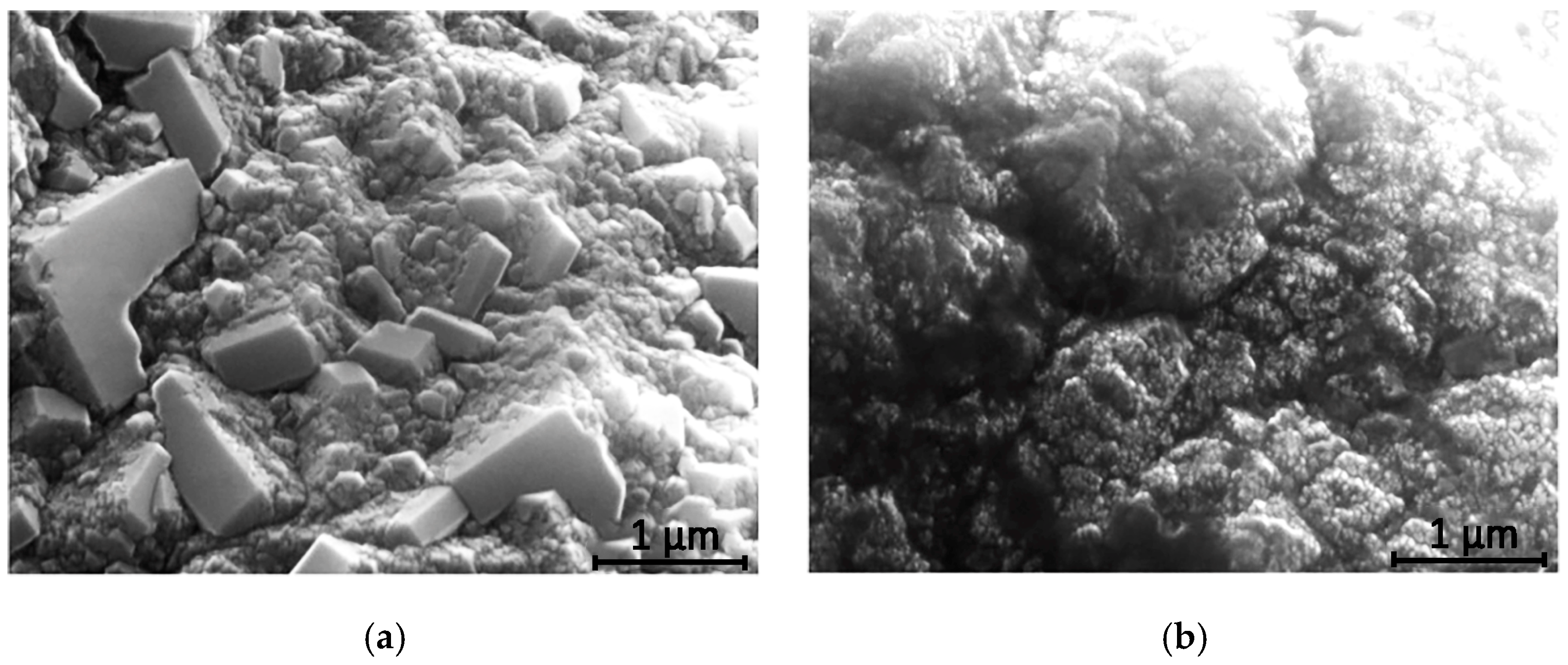 Metals 14 01344 g003a