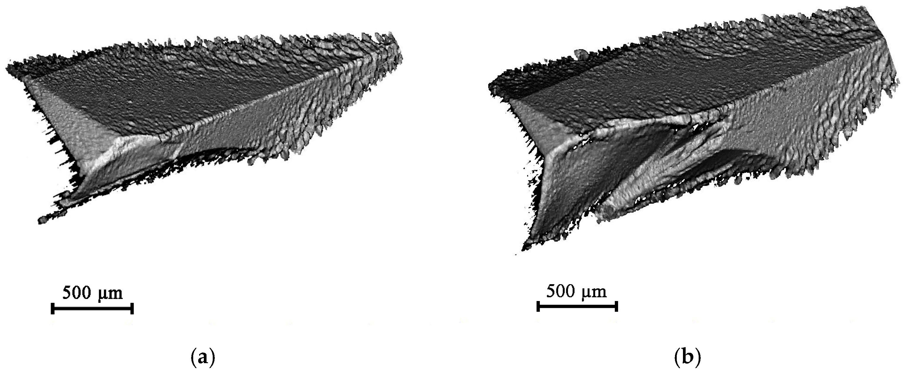 Metals 14 01344 g010