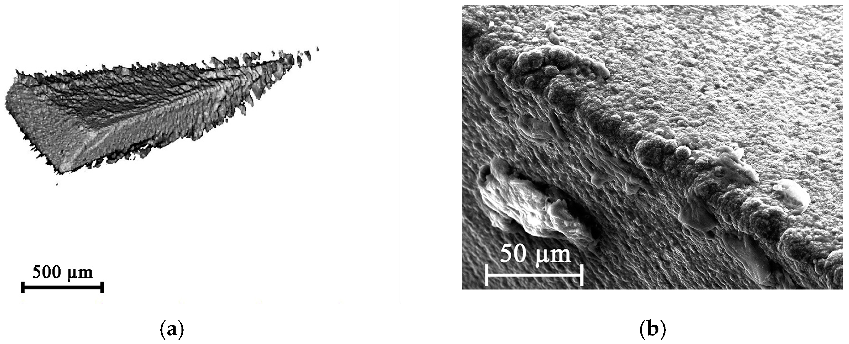 Metals 14 01344 g011