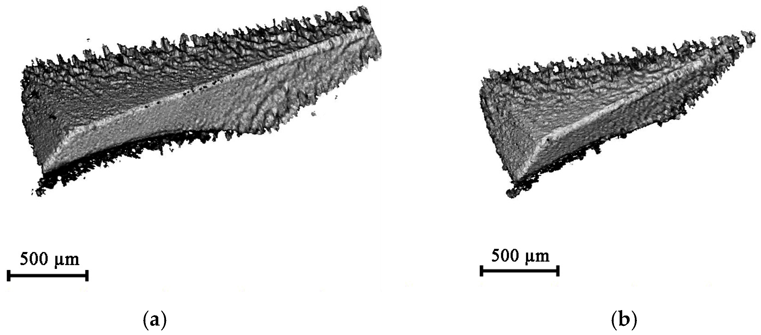 Metals 14 01344 g013