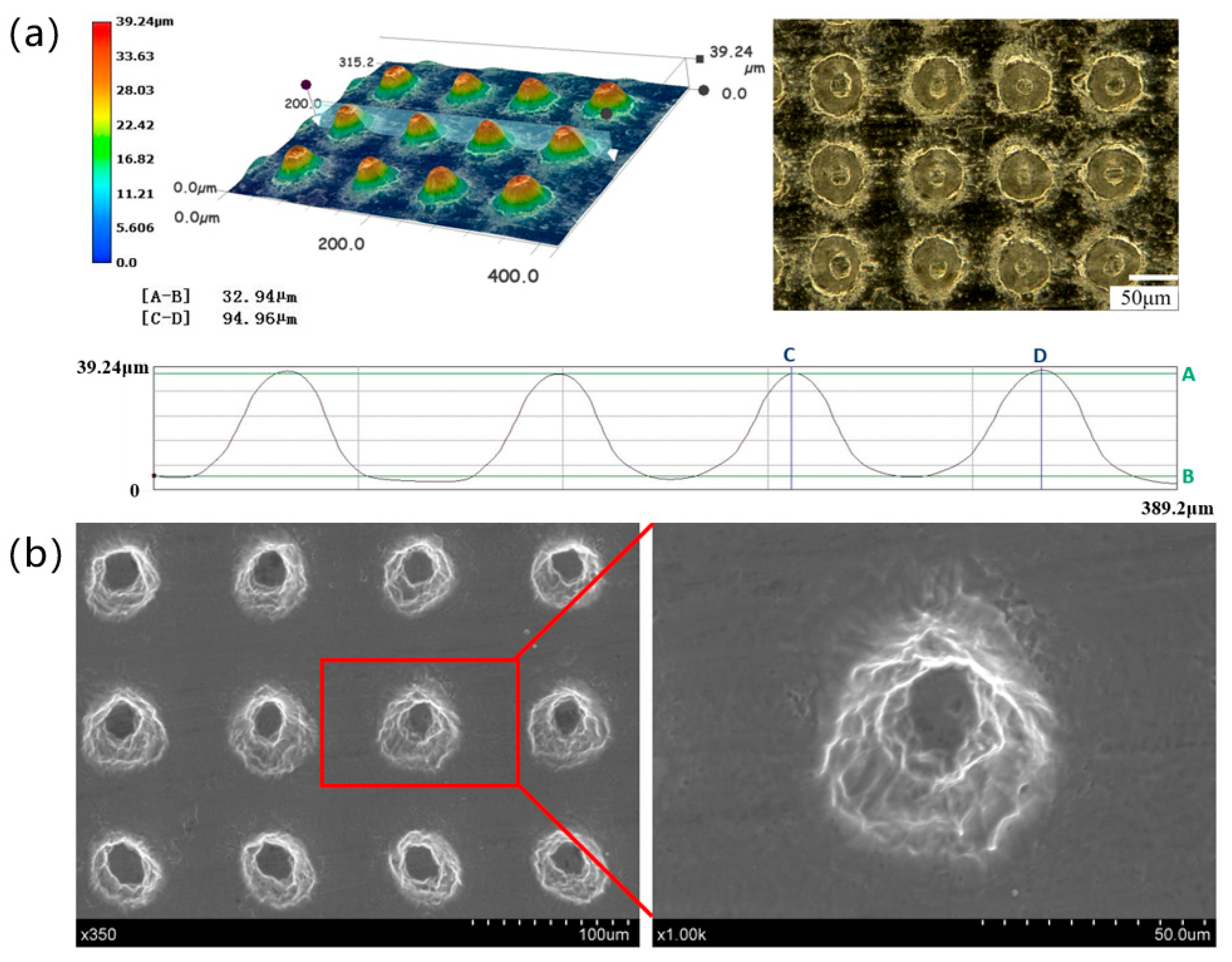 Metals 14 01346 g004