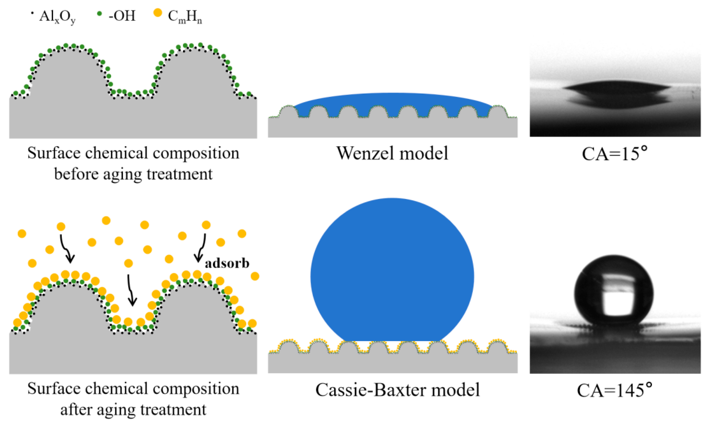 Metals 14 01346 g016