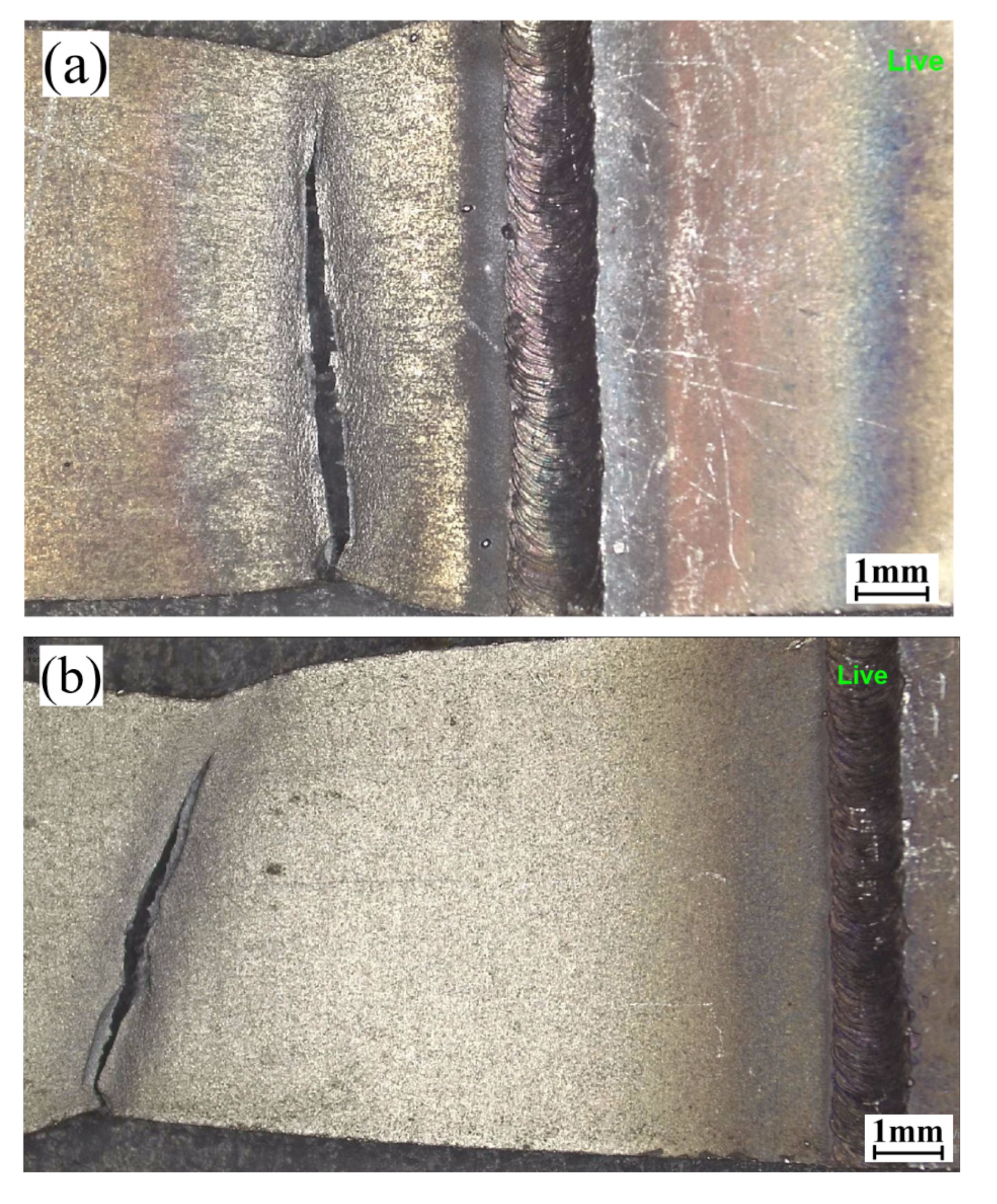 Metals 14 01352 g012